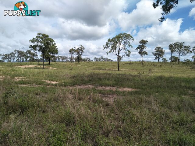 Lot 100 Seccombes Rd Degilbo QLD 4621