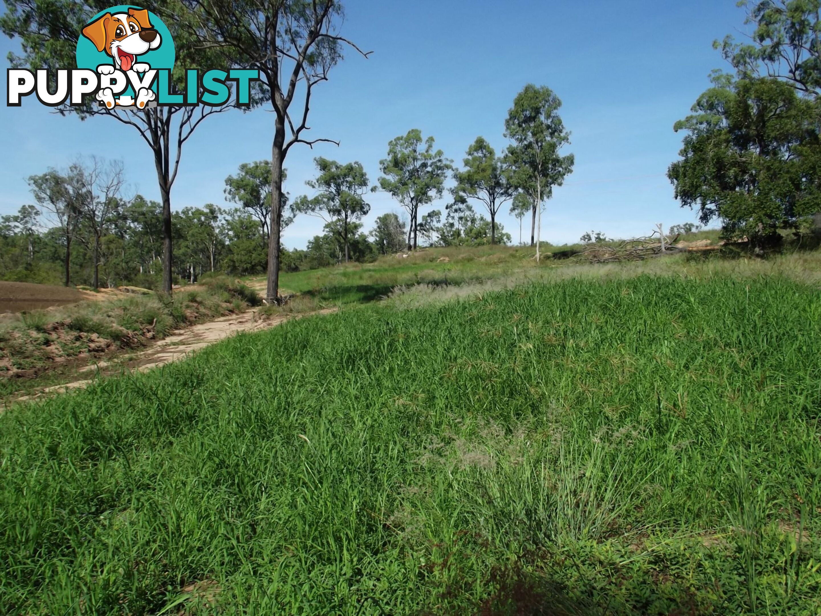 Lot 1 Booyal Dallarnil Road Dallarnil QLD 4621