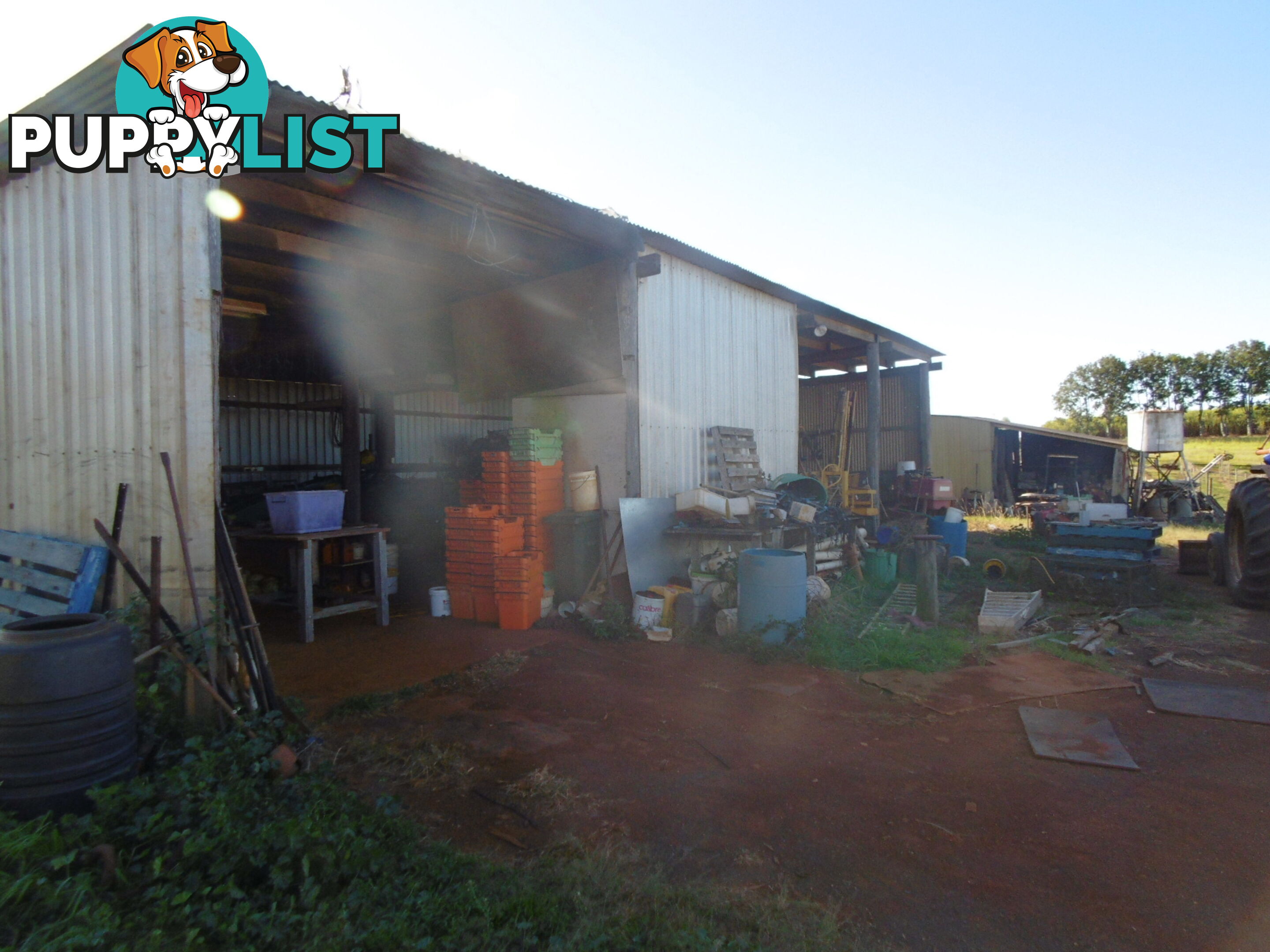 546 Lynwood Rd North Isis QLD 4660