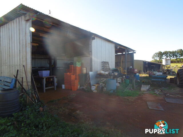 546 Lynwood Rd North Isis QLD 4660