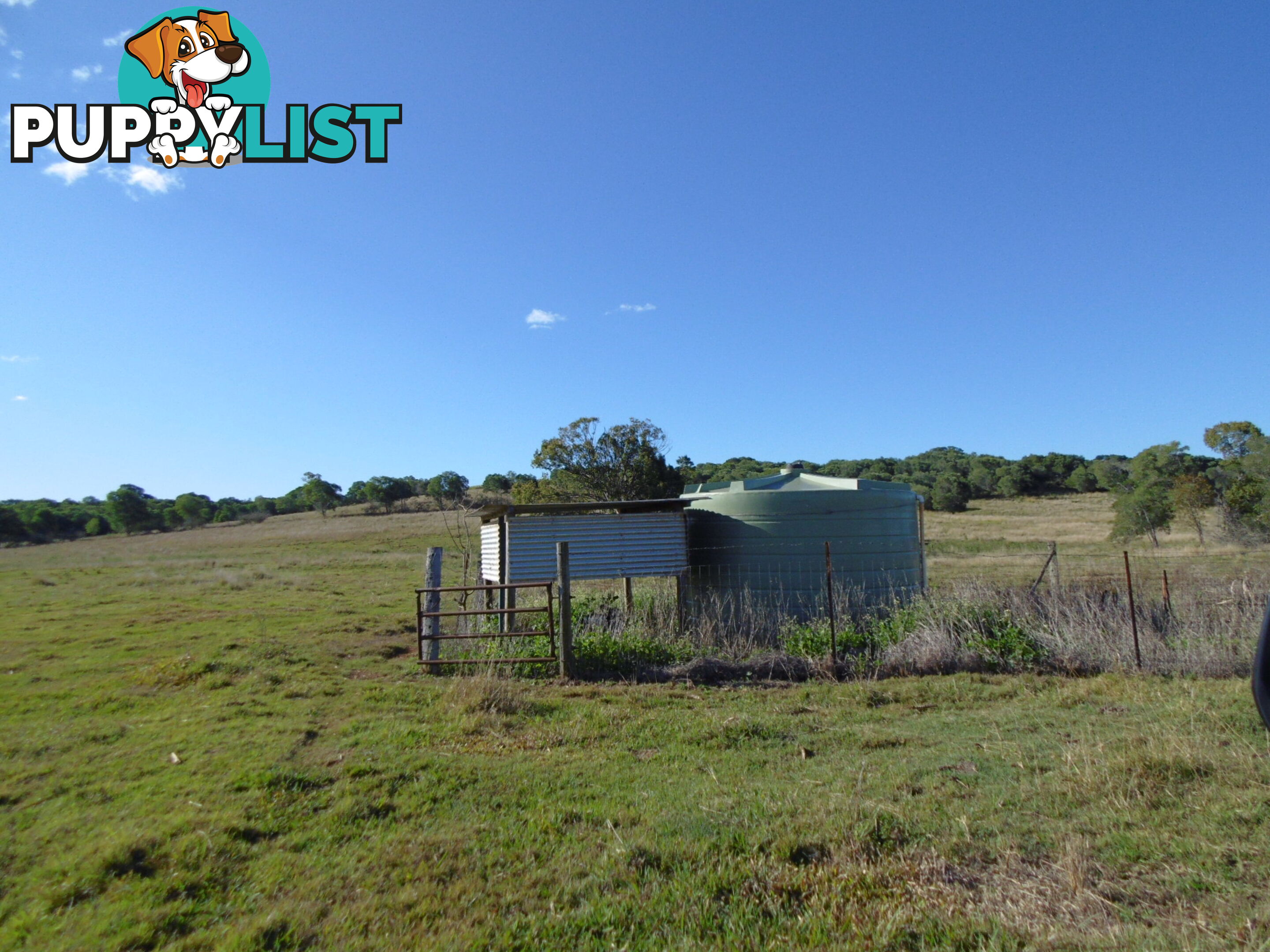 546 Lynwood Rd North Isis QLD 4660