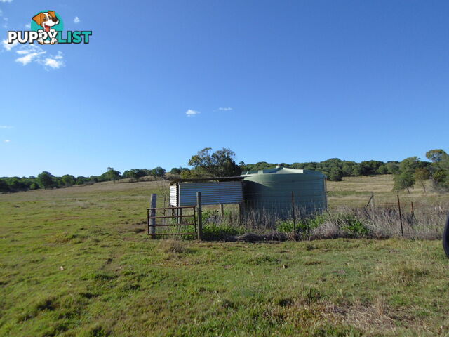 546 Lynwood Rd North Isis QLD 4660