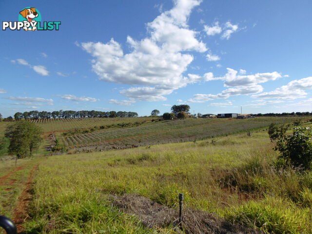 546 Lynwood Rd North Isis QLD 4660