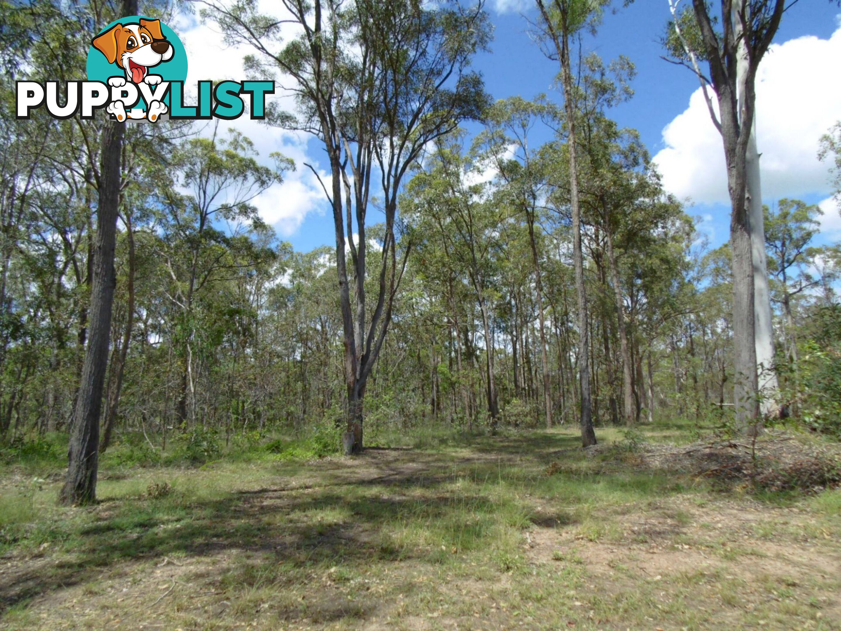 Lot 7 Park Avenue North Isis QLD 4660