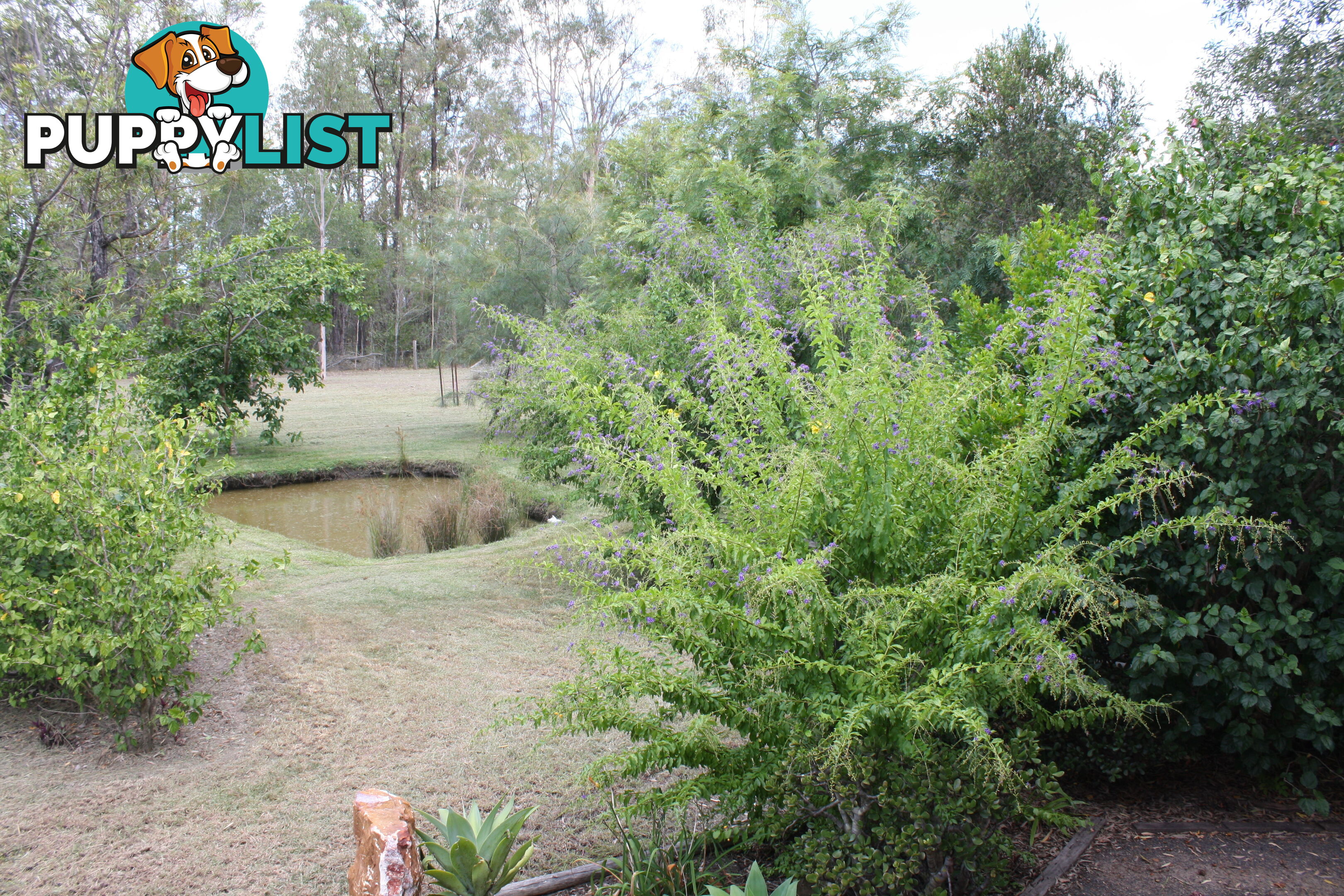 41 Beiers Rd Bullyard QLD 4671