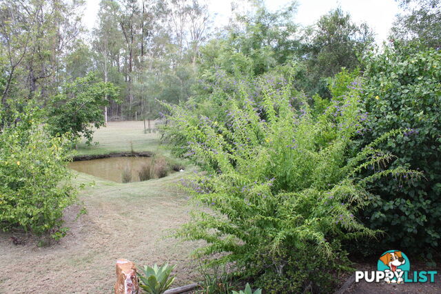 41 Beiers Rd Bullyard QLD 4671