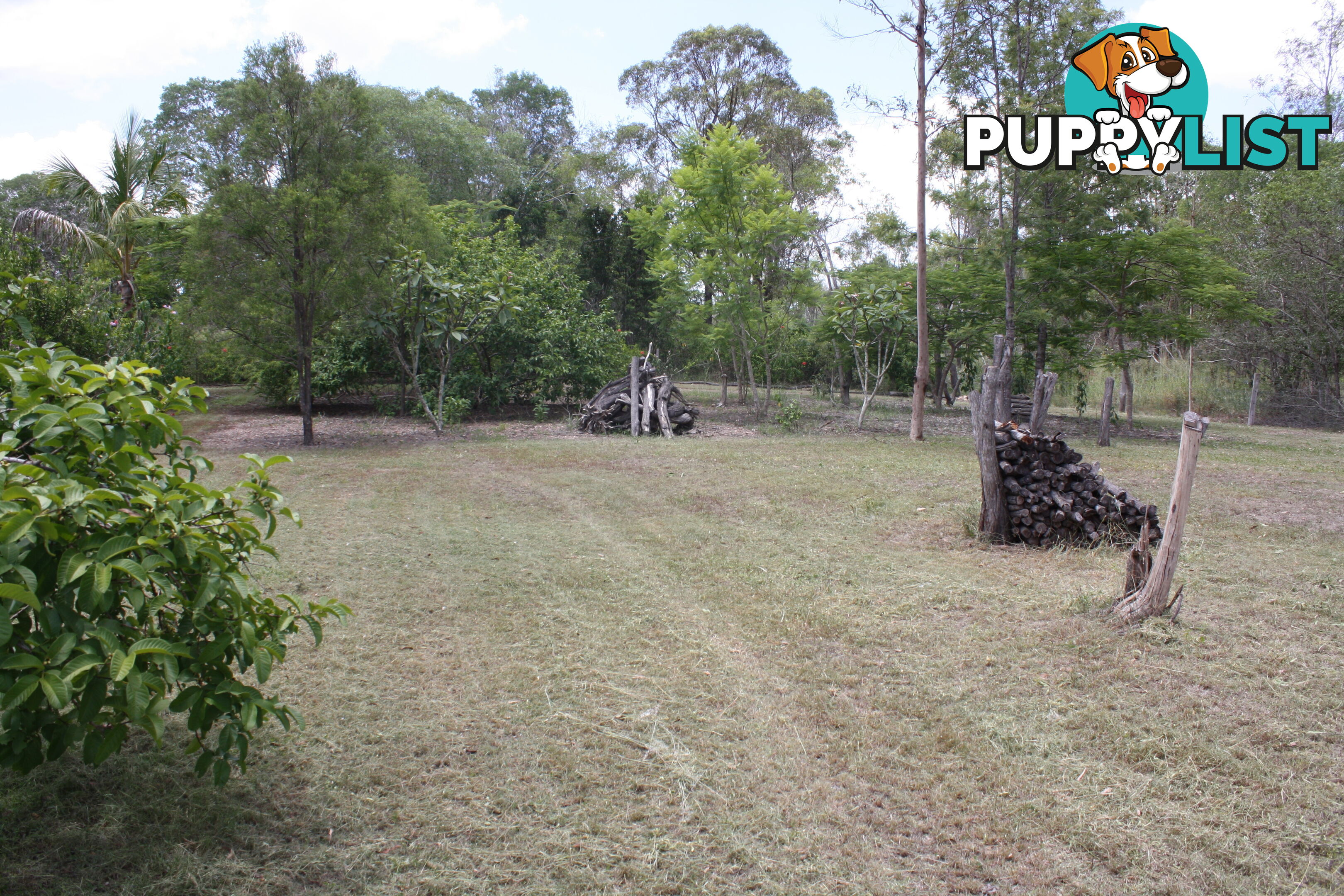 41 Beiers Rd Bullyard QLD 4671