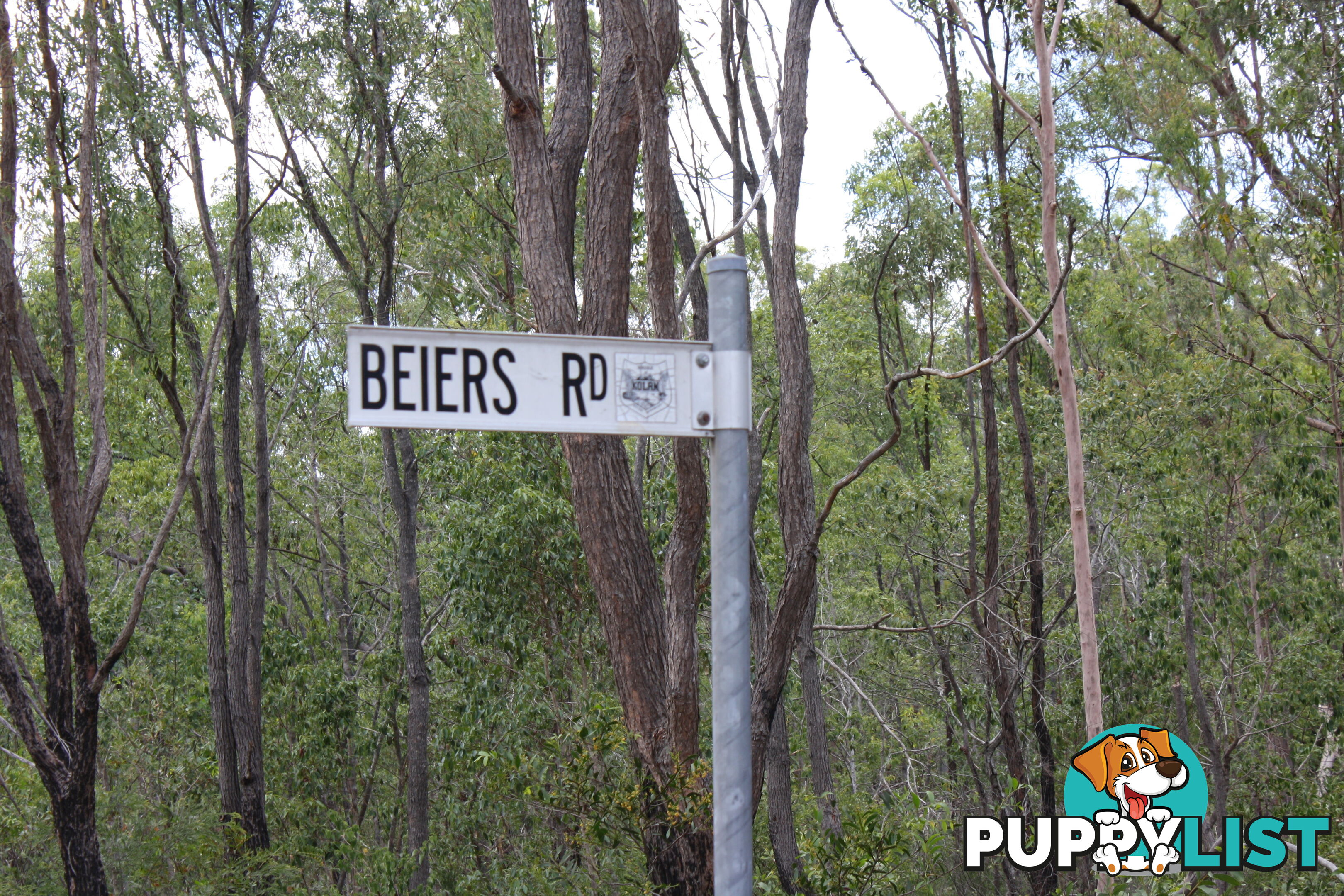 41 Beiers Rd Bullyard QLD 4671