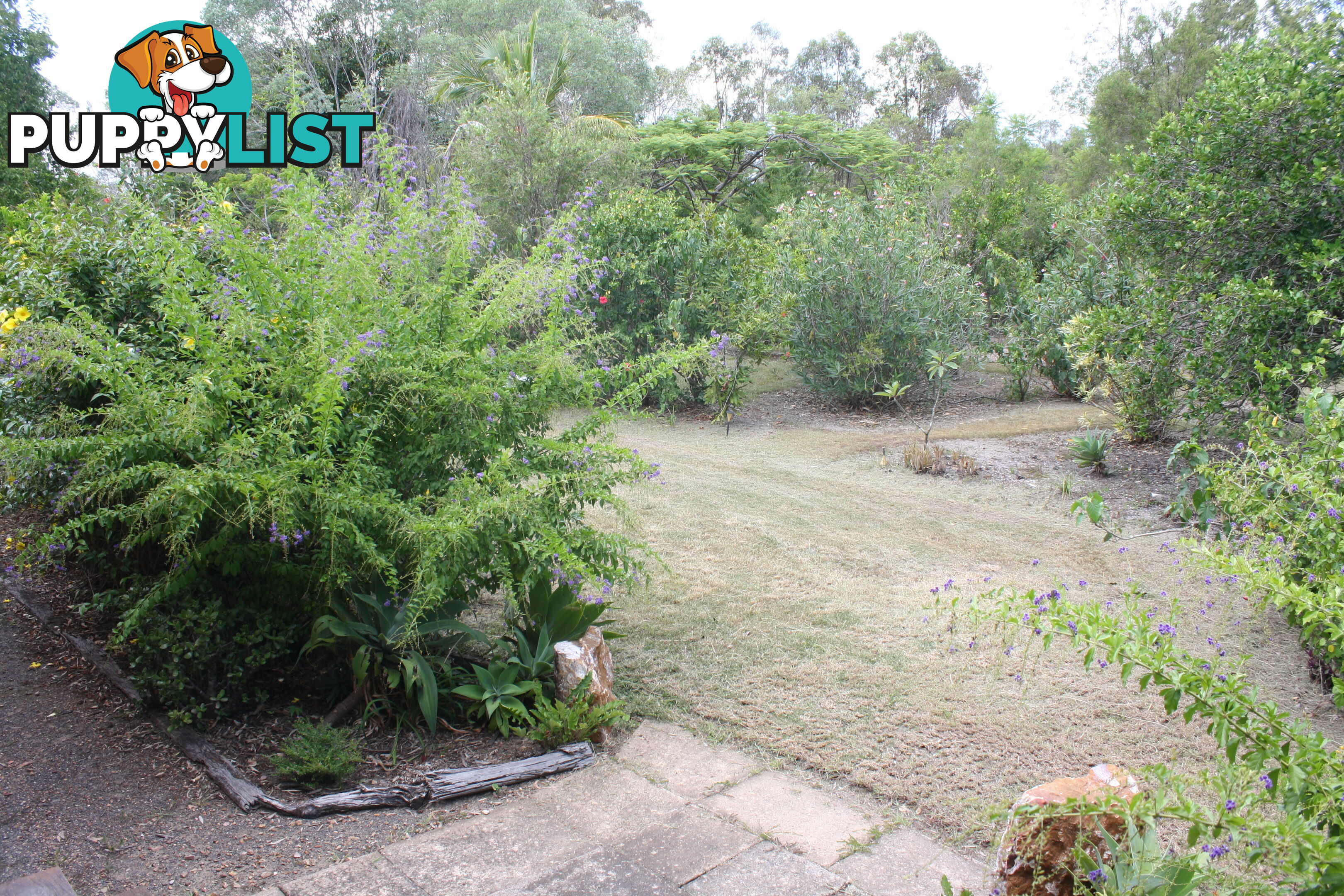 41 Beiers Rd Bullyard QLD 4671