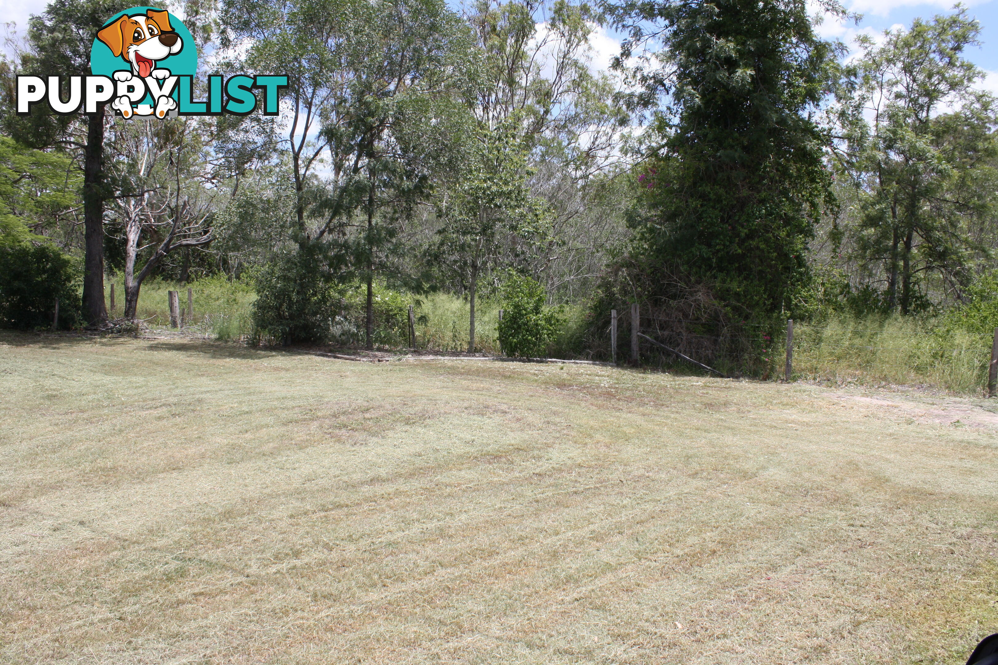 41 Beiers Rd Bullyard QLD 4671