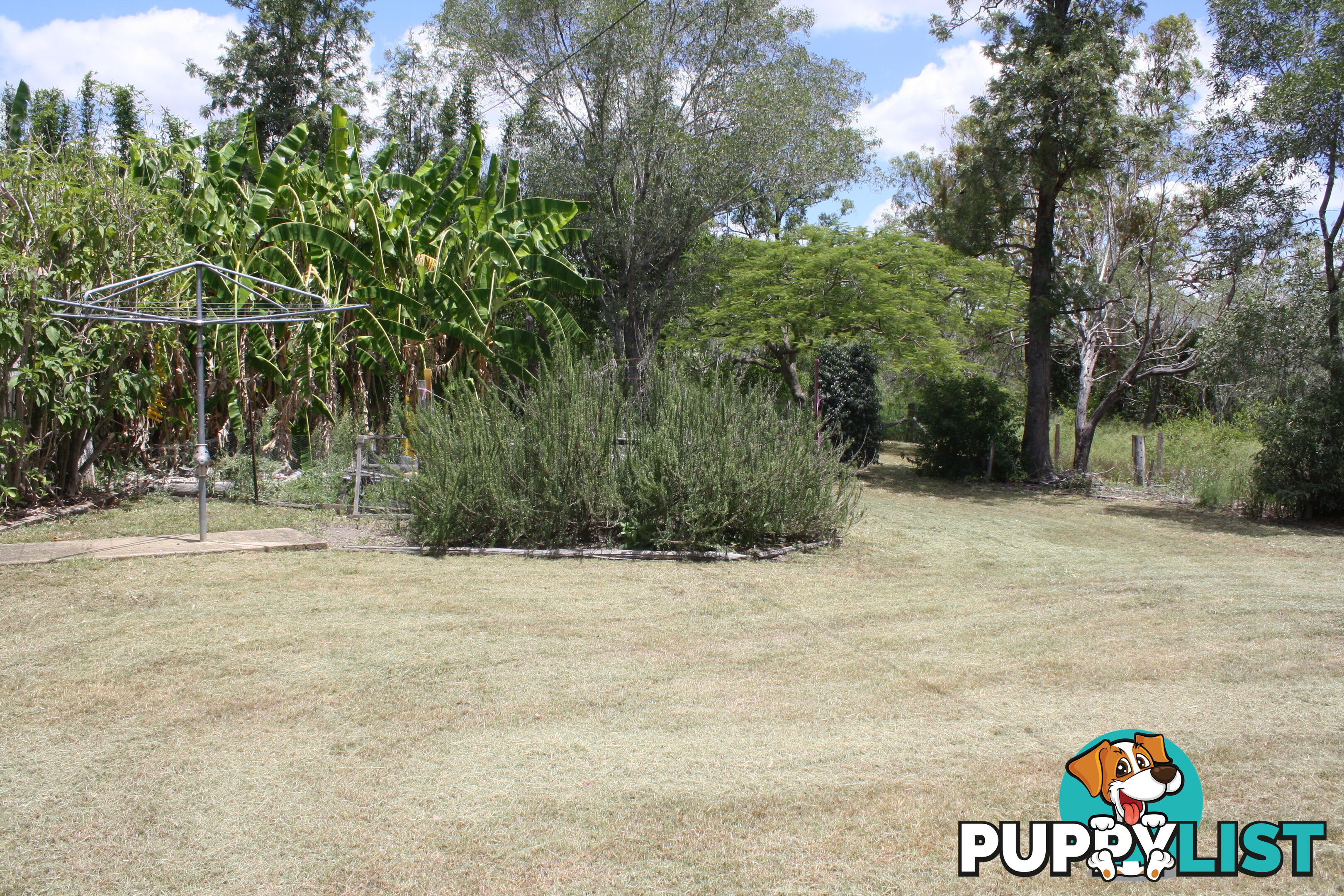 41 Beiers Rd Bullyard QLD 4671