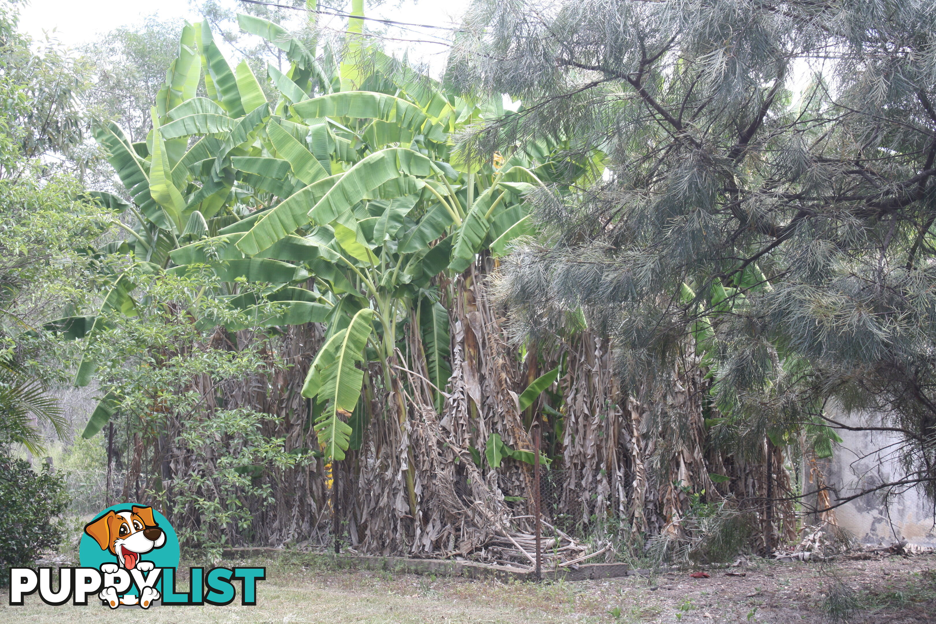 41 Beiers Rd Bullyard QLD 4671