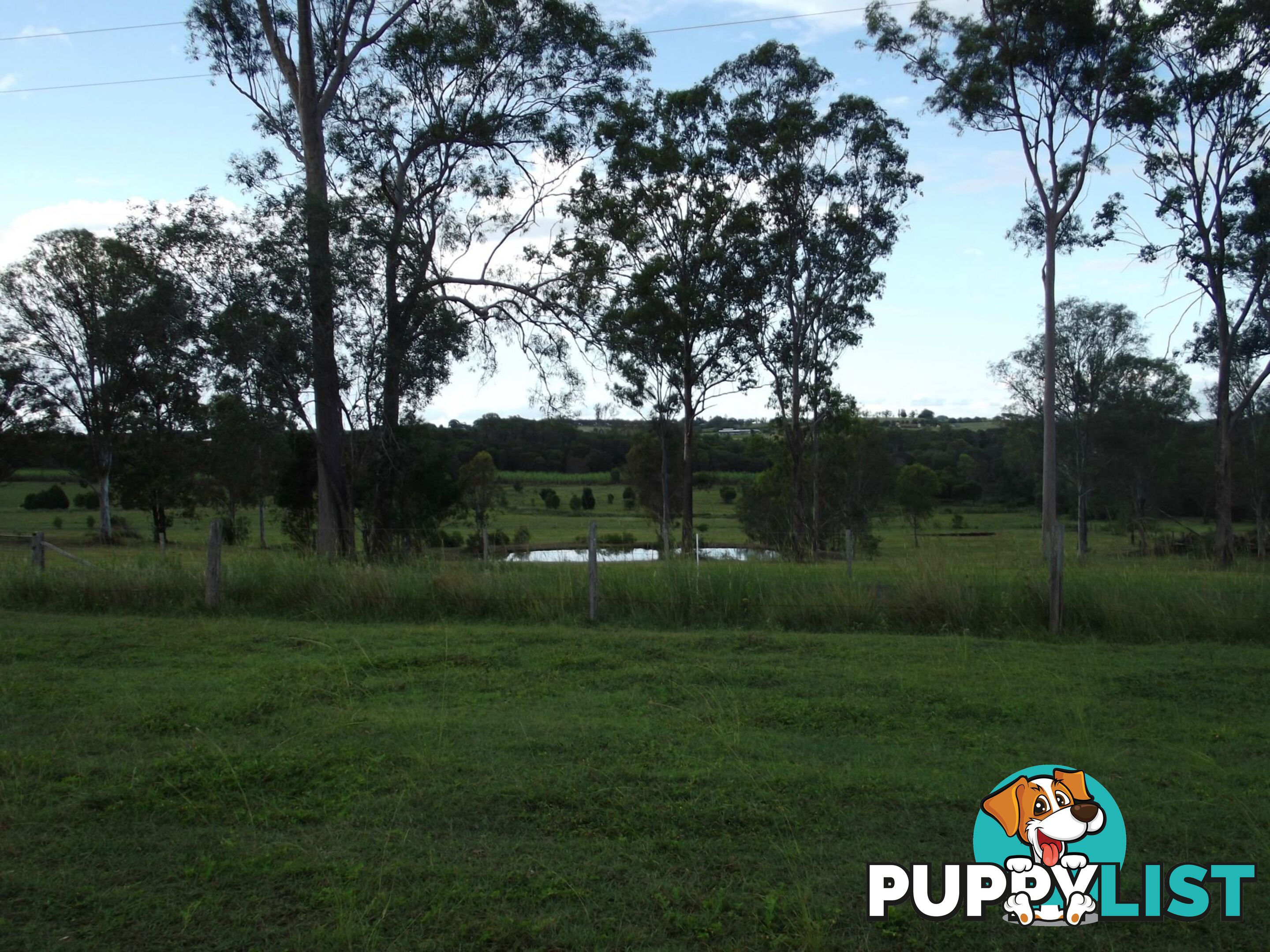 Lot 3 Cooks Road South Isis QLD 4660