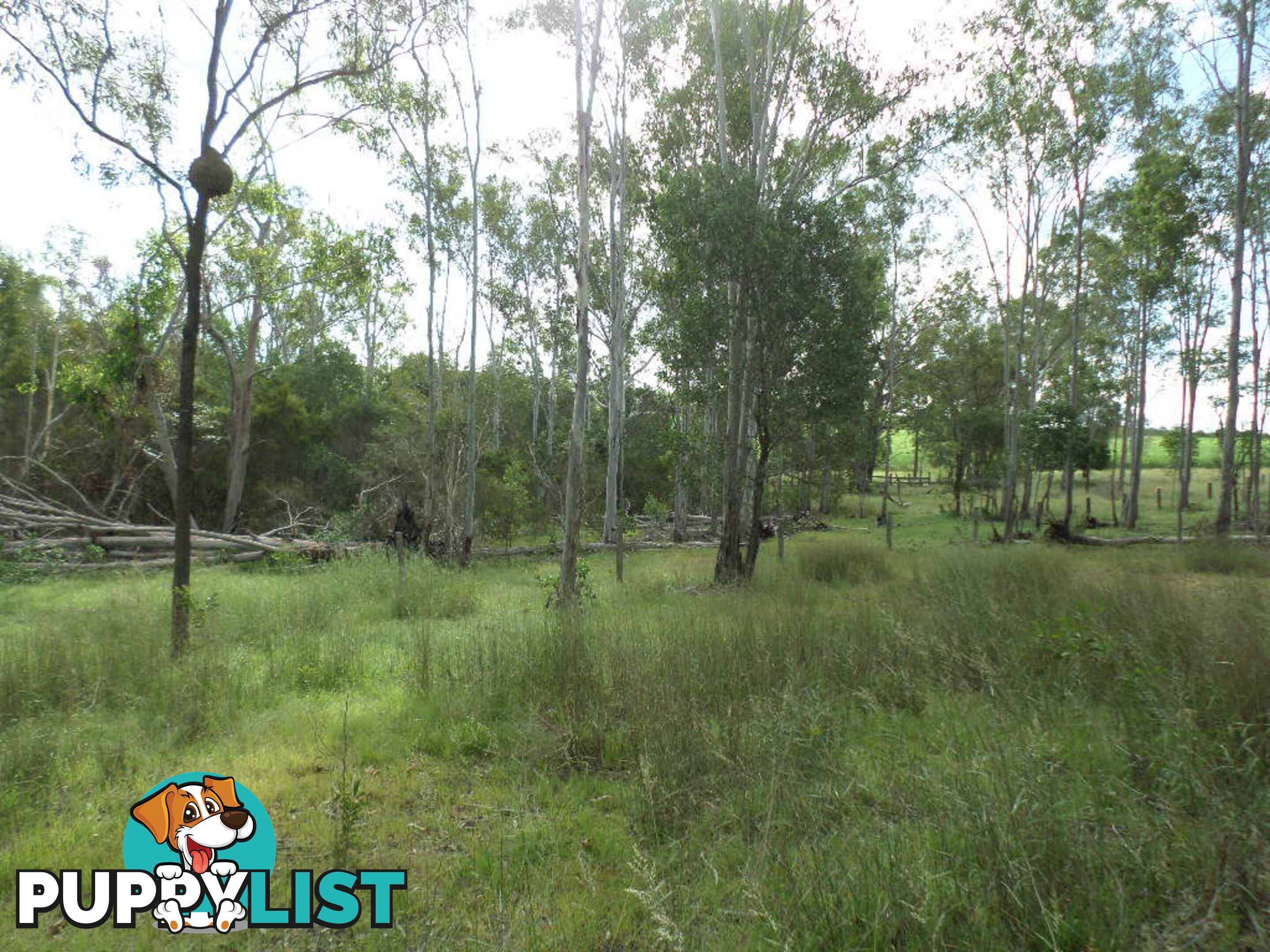 Lot 3 Cooks Road South Isis QLD 4660