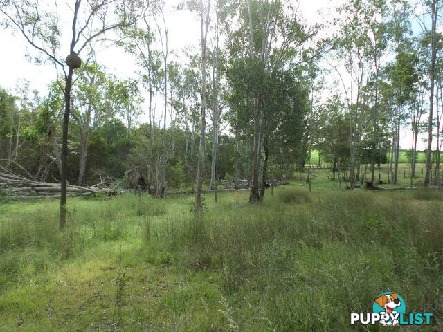 Lot 3 Cooks Road South Isis QLD 4660