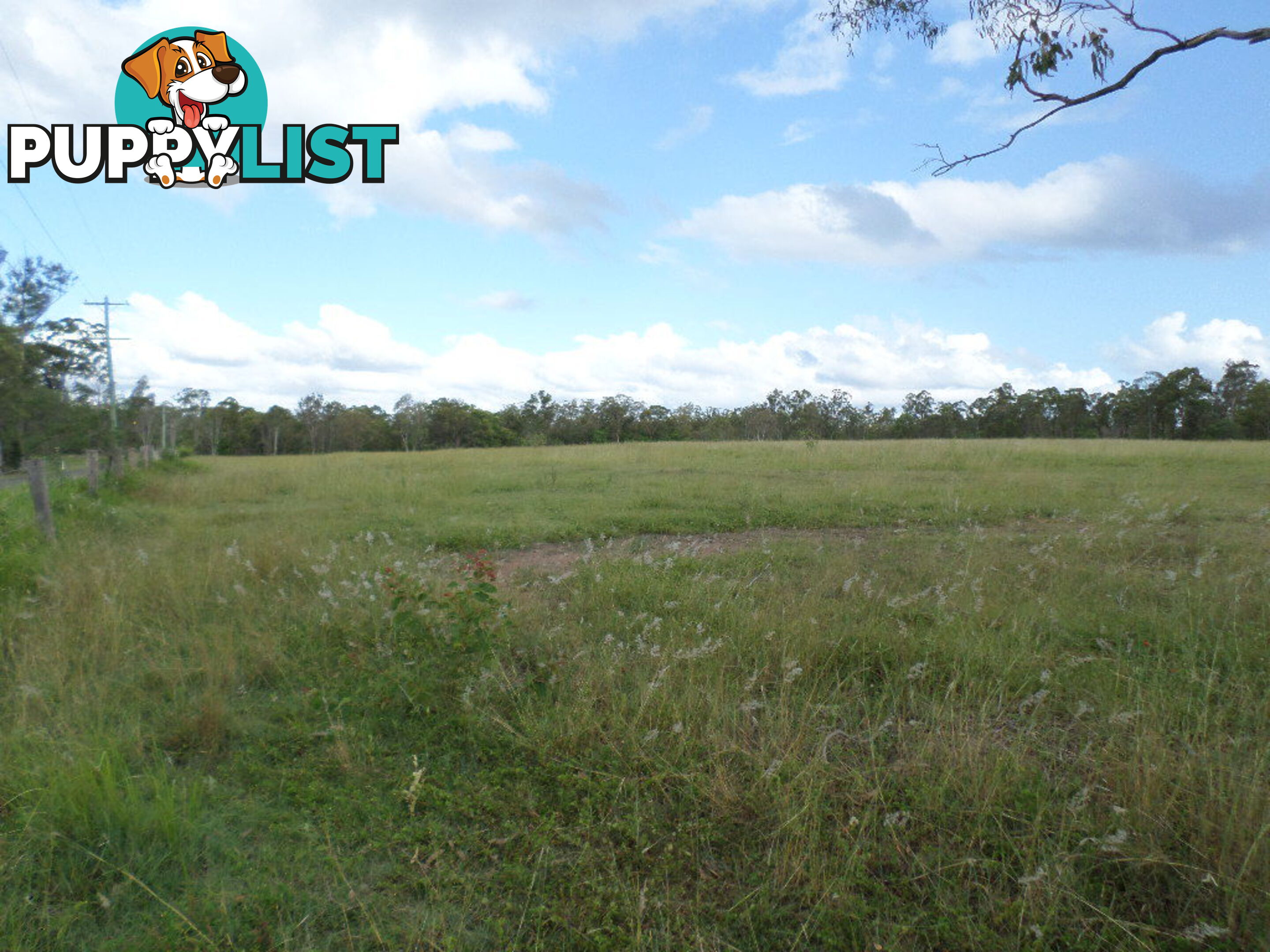 Lot 3 Cooks Road South Isis QLD 4660