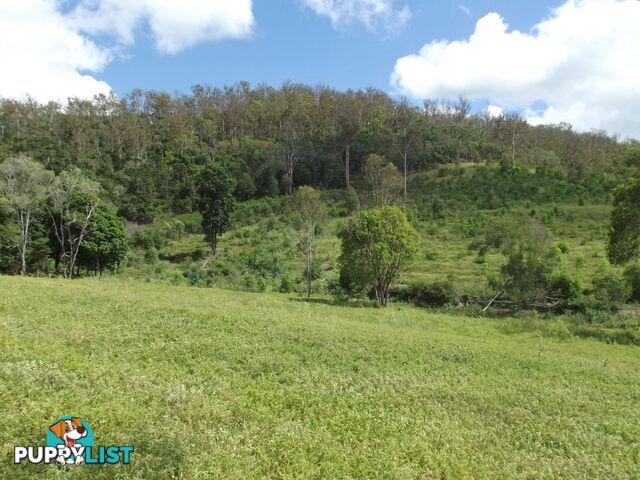 251 Fairview Creek Road Biggenden QLD 4621