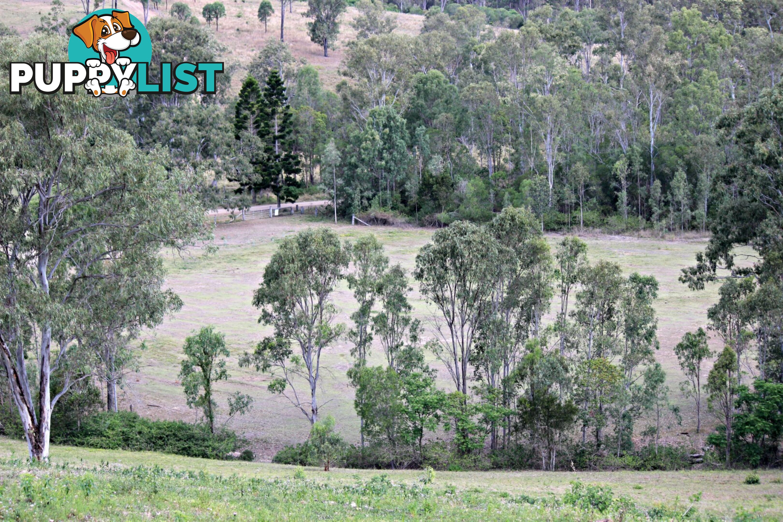 251 Fairview Creek Road Biggenden QLD 4621