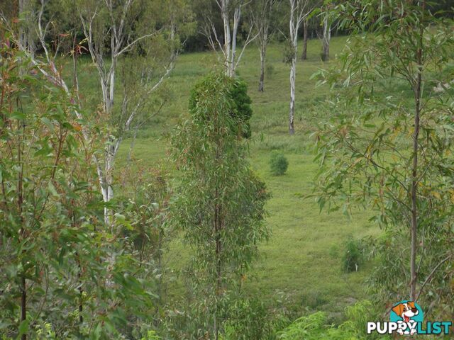 251 Fairview Creek Road Biggenden QLD 4621