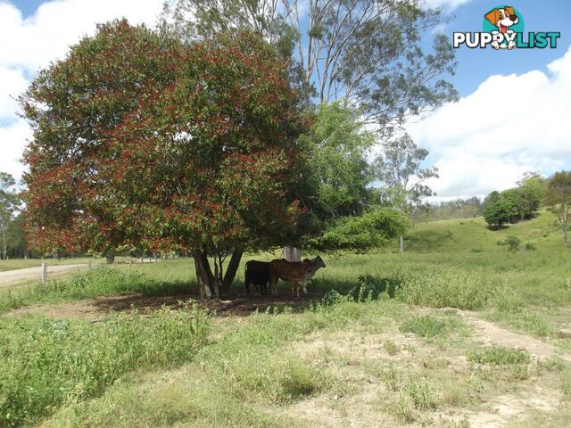 251 Fairview Creek Road Biggenden QLD 4621