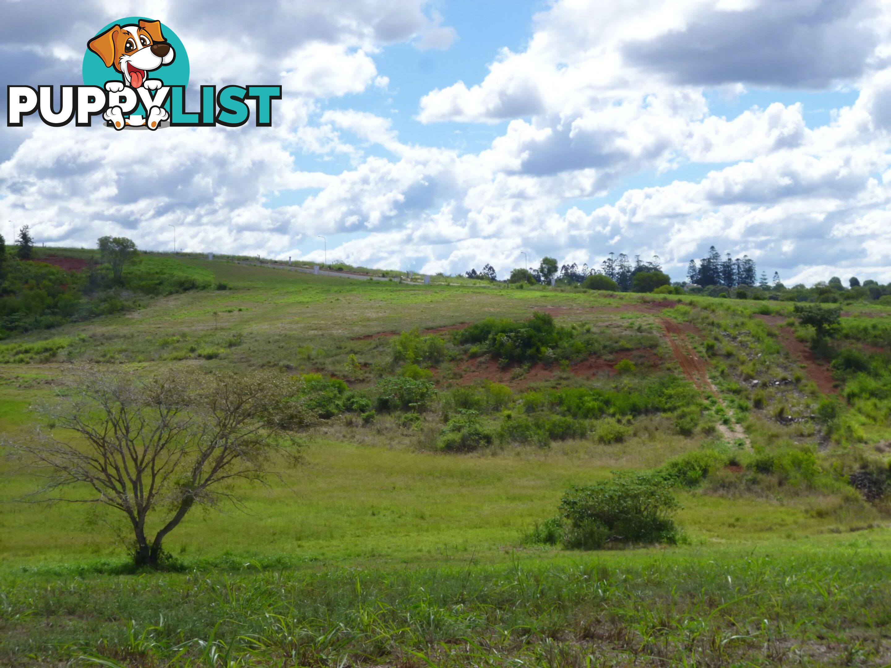 Lot 34 Outlook Drive Childers QLD 4660