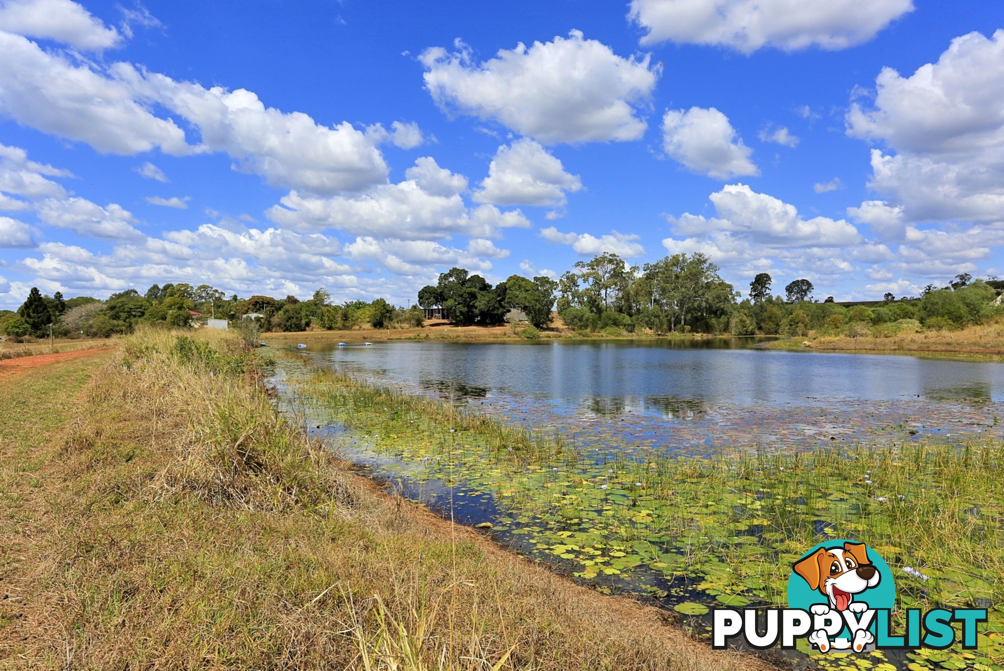 378 Butchers Rd South Isis QLD 4660