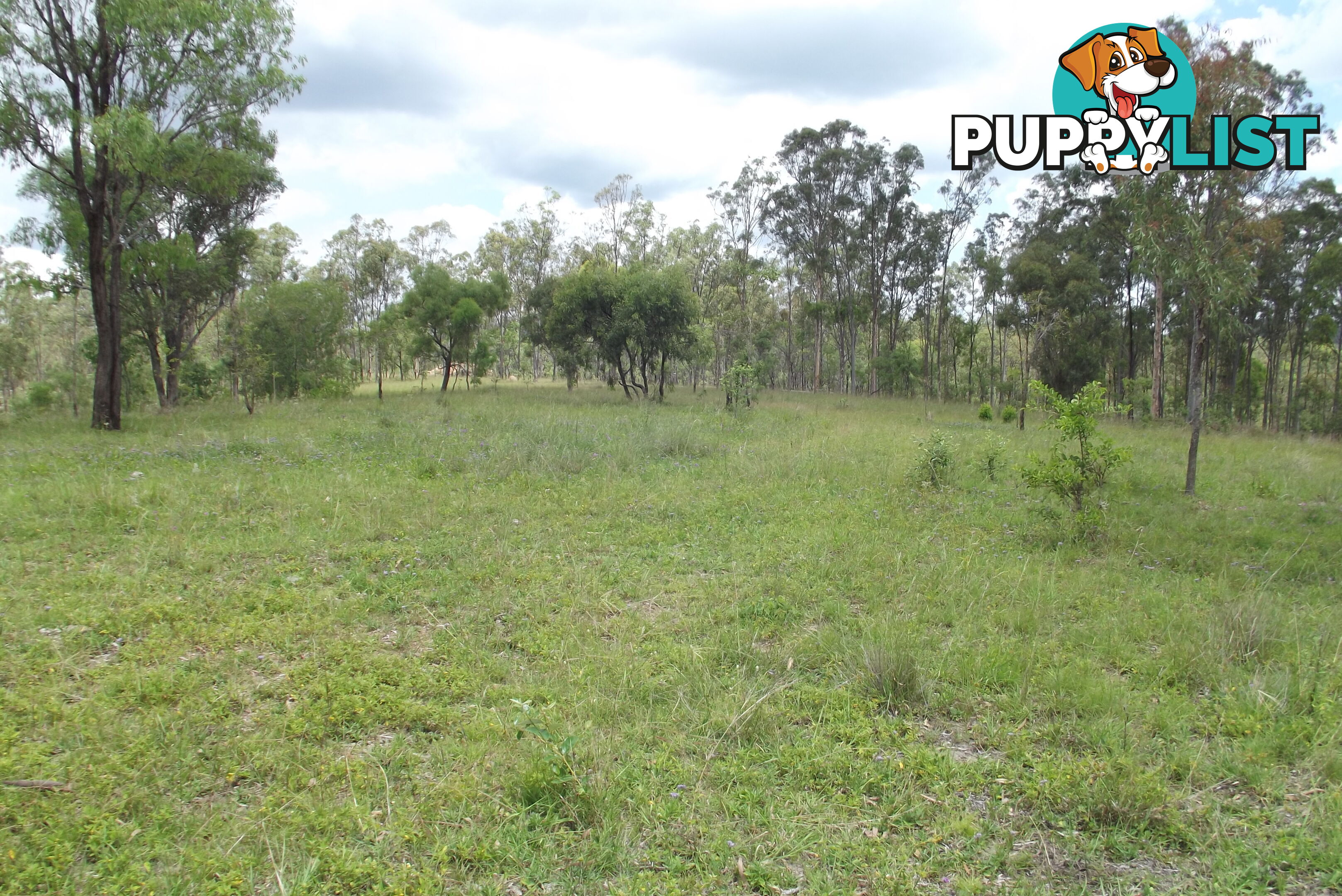 Lot 58 Isis Highway Dallarnil QLD 4621