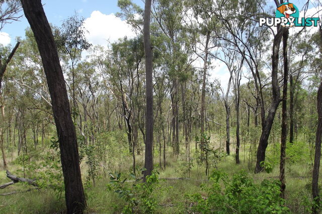 Lot 58 Isis Highway Dallarnil QLD 4621