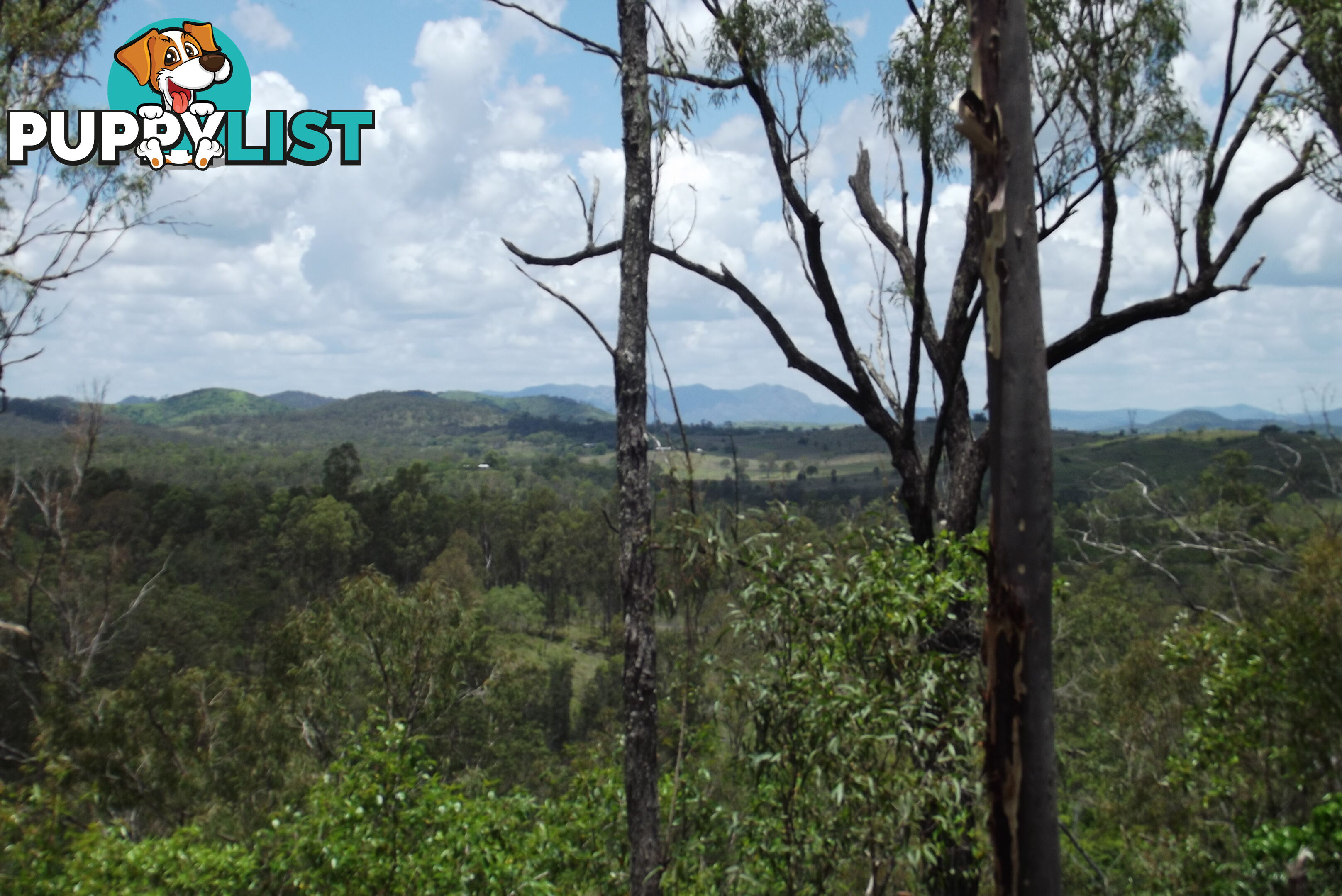 Lot 58 Isis Highway Dallarnil QLD 4621