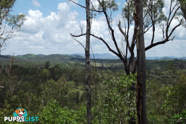 Lot 58 Isis Highway Dallarnil QLD 4621