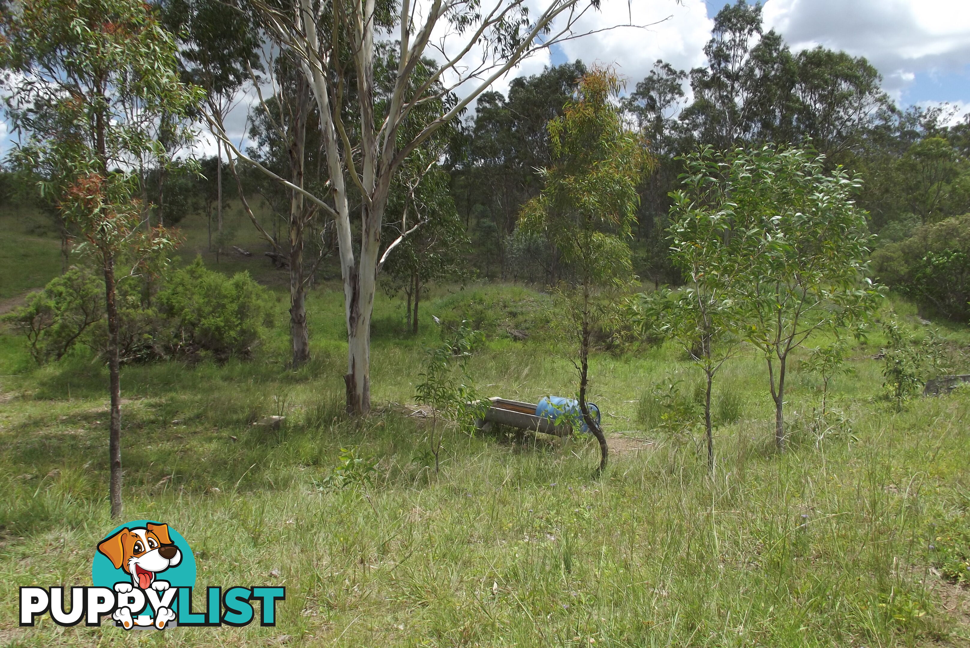 Lot 58 Isis Highway Dallarnil QLD 4621