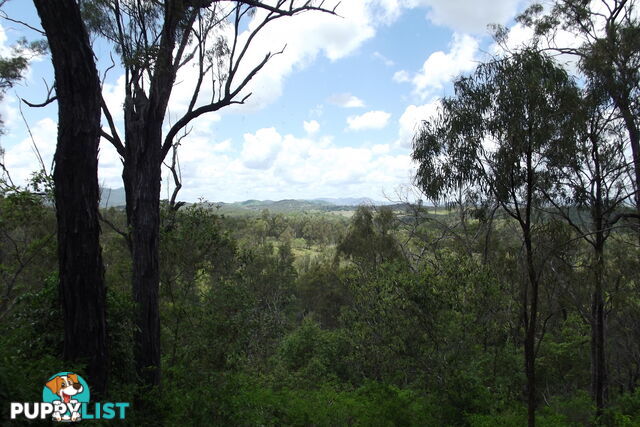 Lot 58 Isis Highway Dallarnil QLD 4621