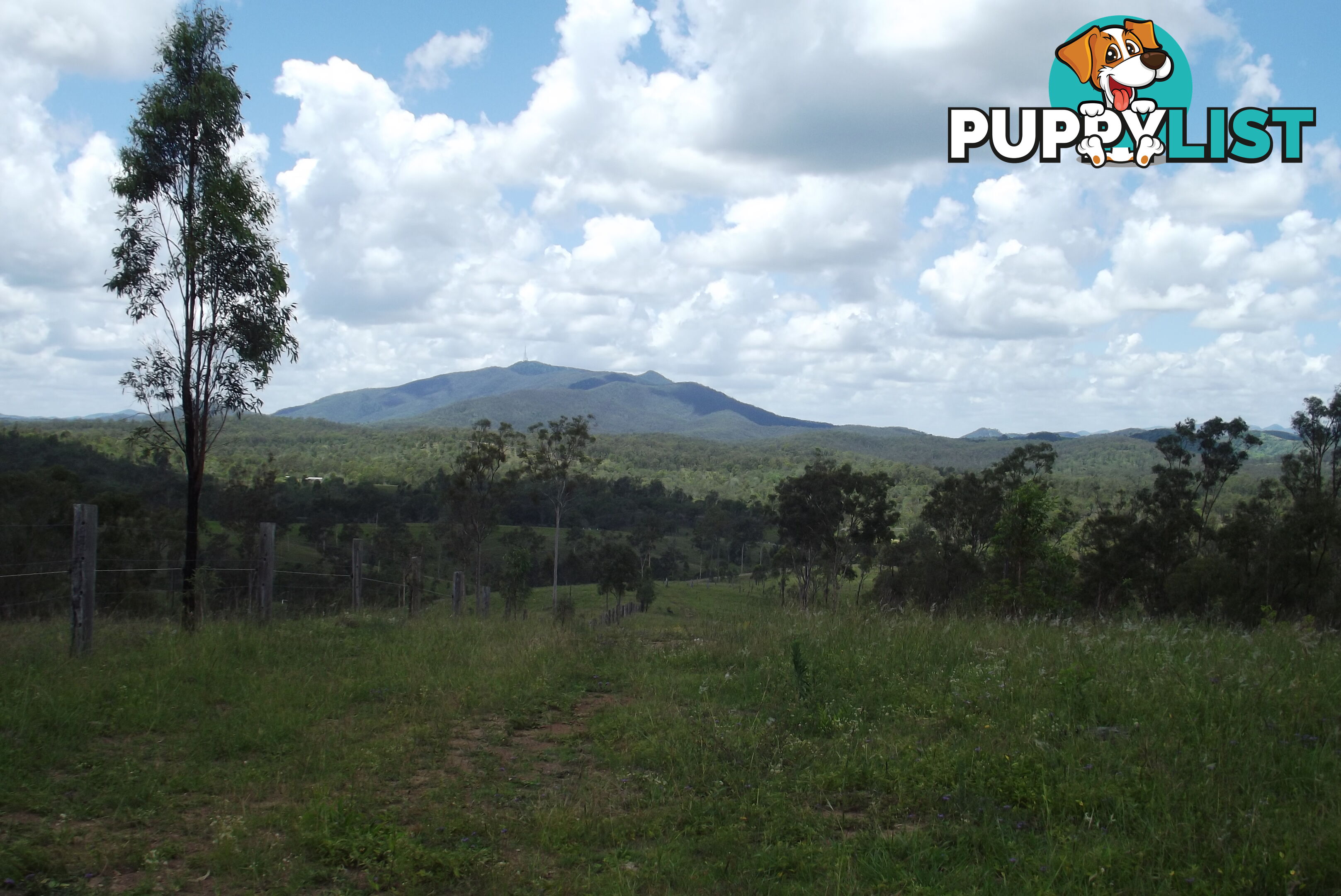 Lot 58 Isis Highway Dallarnil QLD 4621