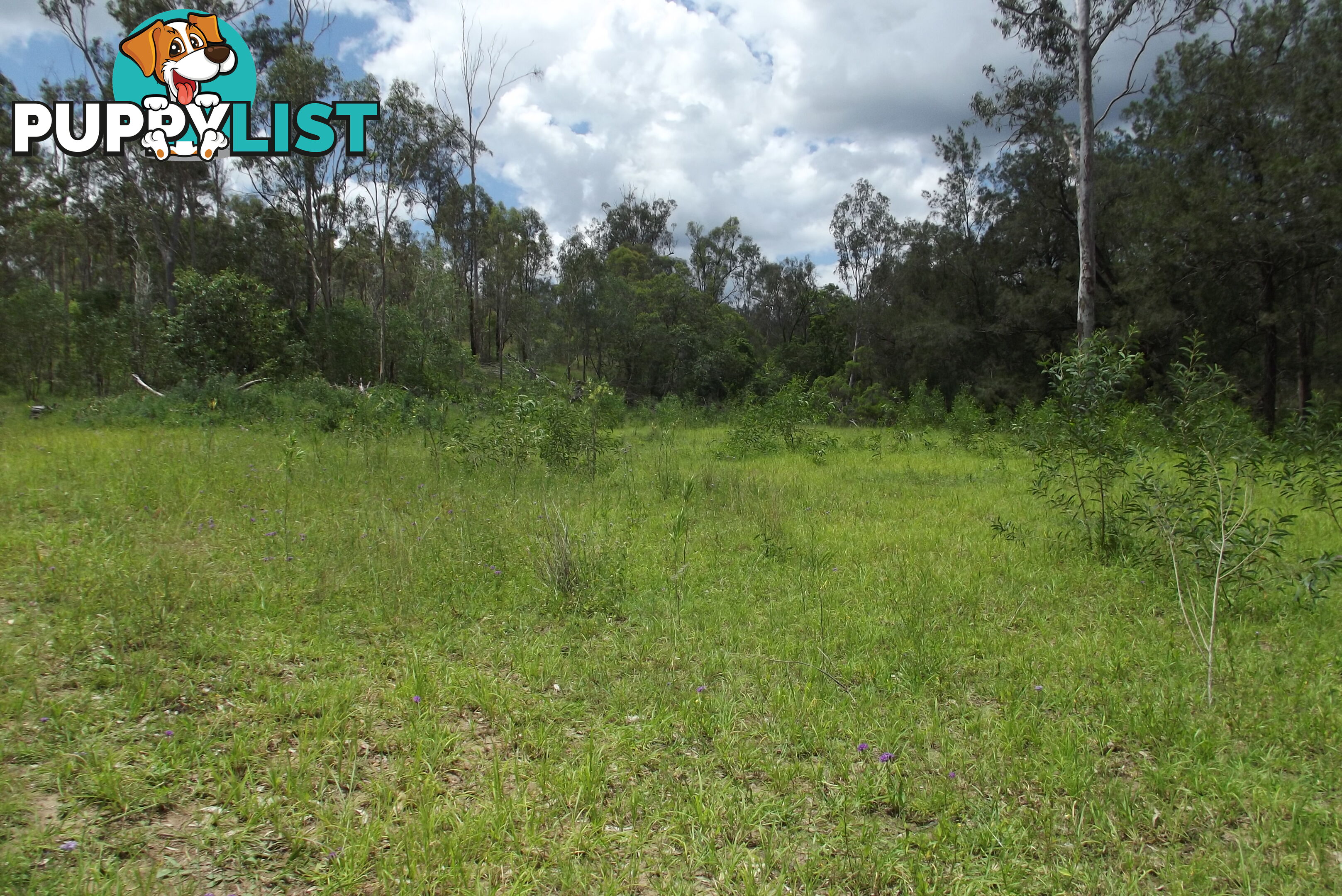 Lot 58 Isis Highway Dallarnil QLD 4621