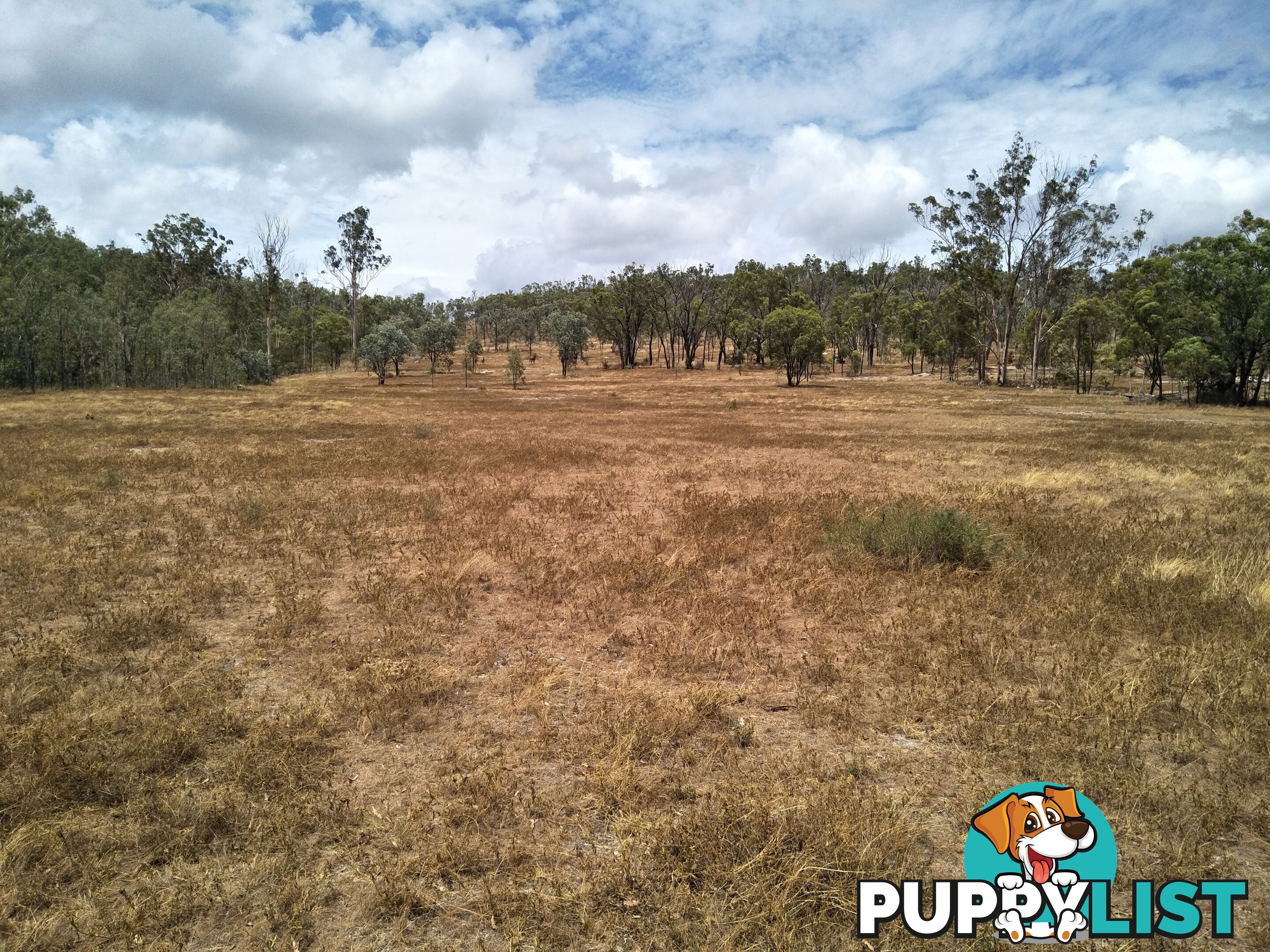 11335 Isis Hwy Biggenden QLD 4621