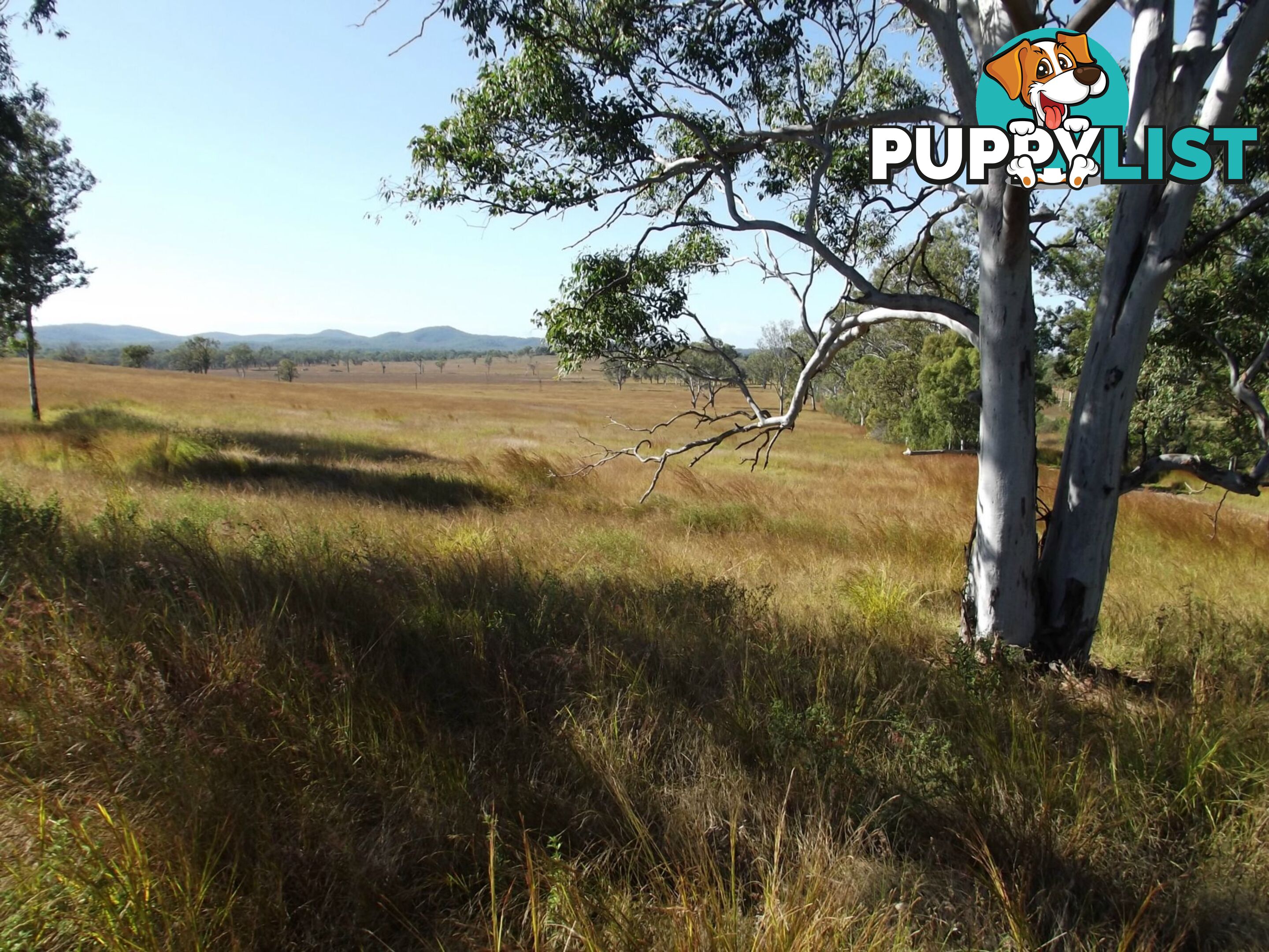 Lot 22 Gooroolba-Biggenden Road Degilbo QLD 4621