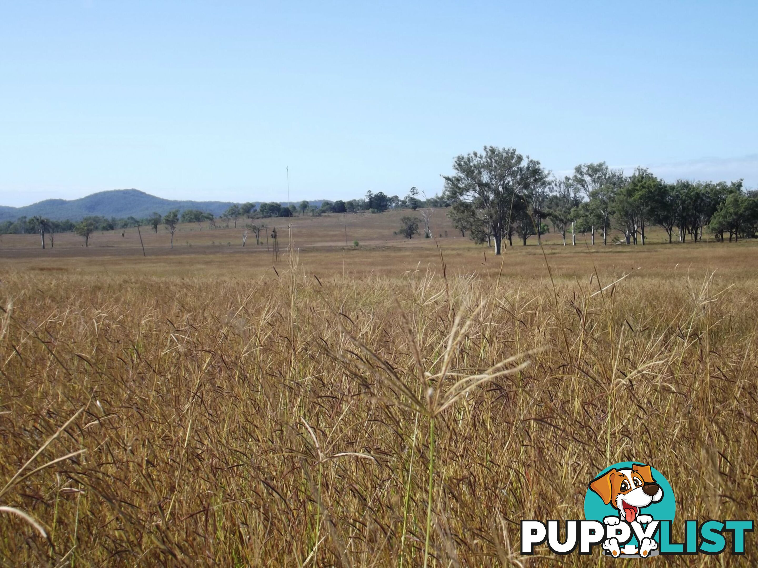 Lot 22 Gooroolba-Biggenden Road Degilbo QLD 4621