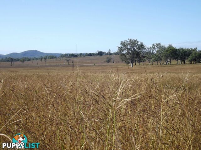 Lot 22 Gooroolba-Biggenden Road Degilbo QLD 4621