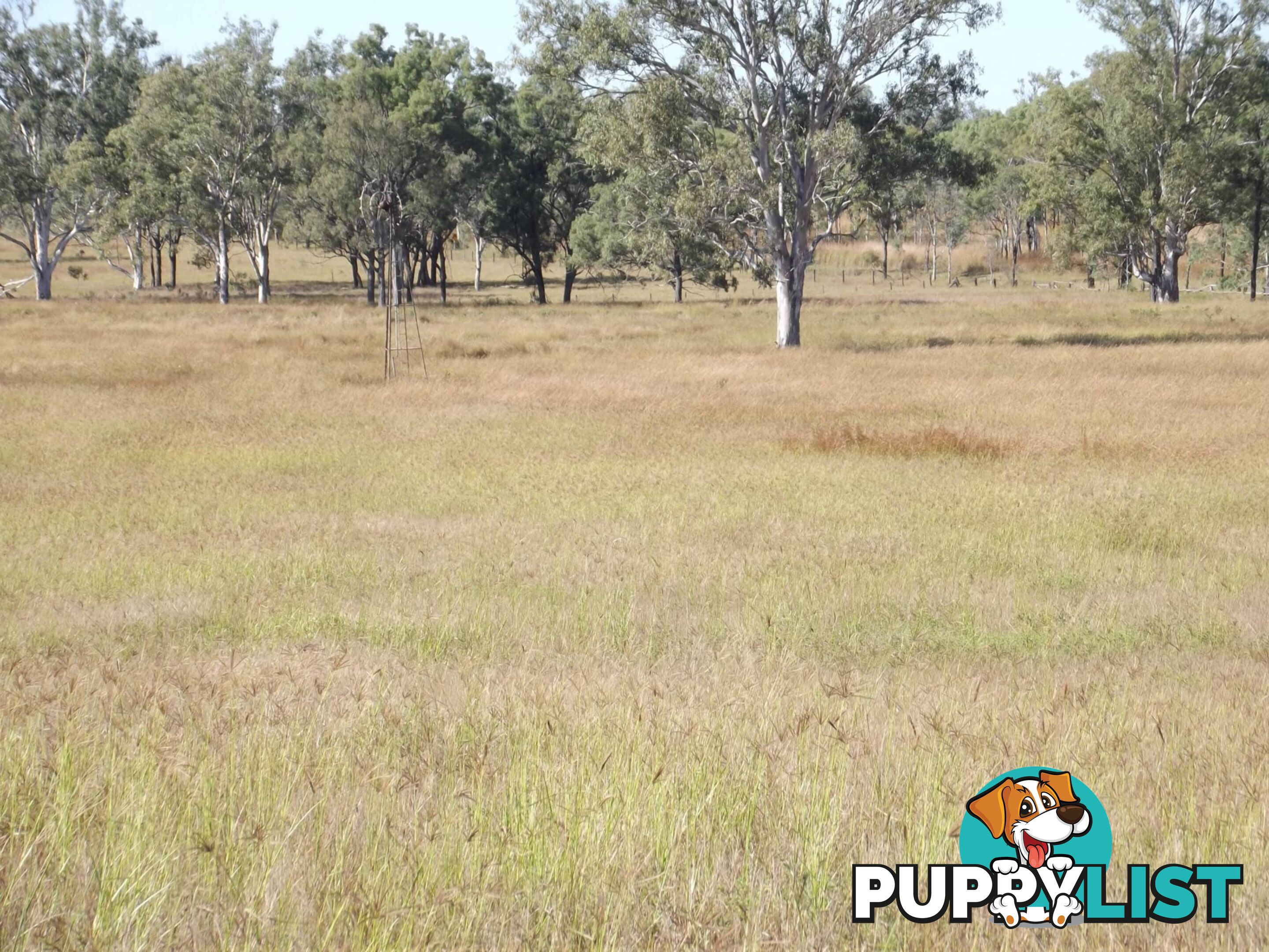 Lot 22 Gooroolba-Biggenden Road Degilbo QLD 4621