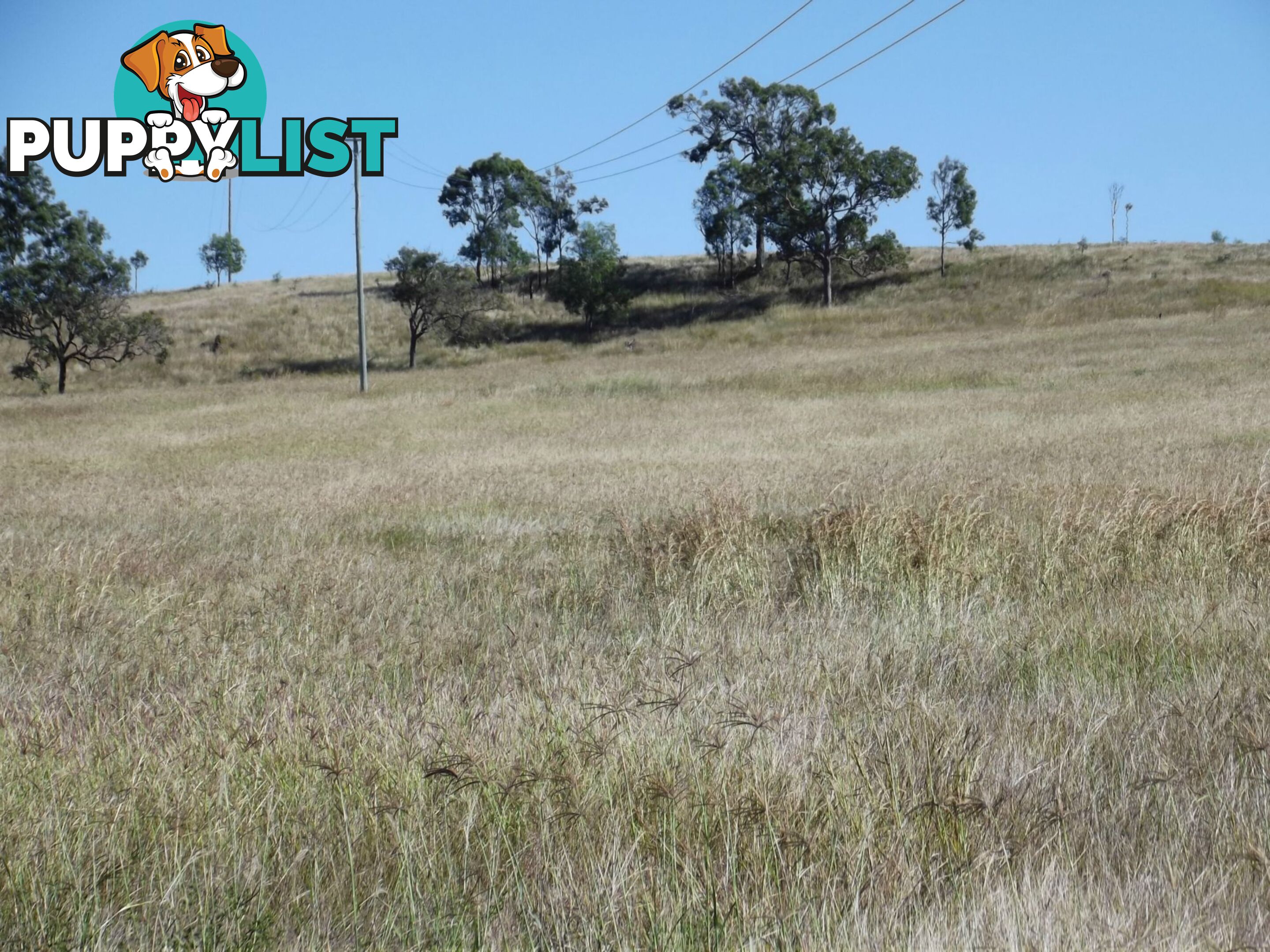 Lot 22 Gooroolba-Biggenden Road Degilbo QLD 4621