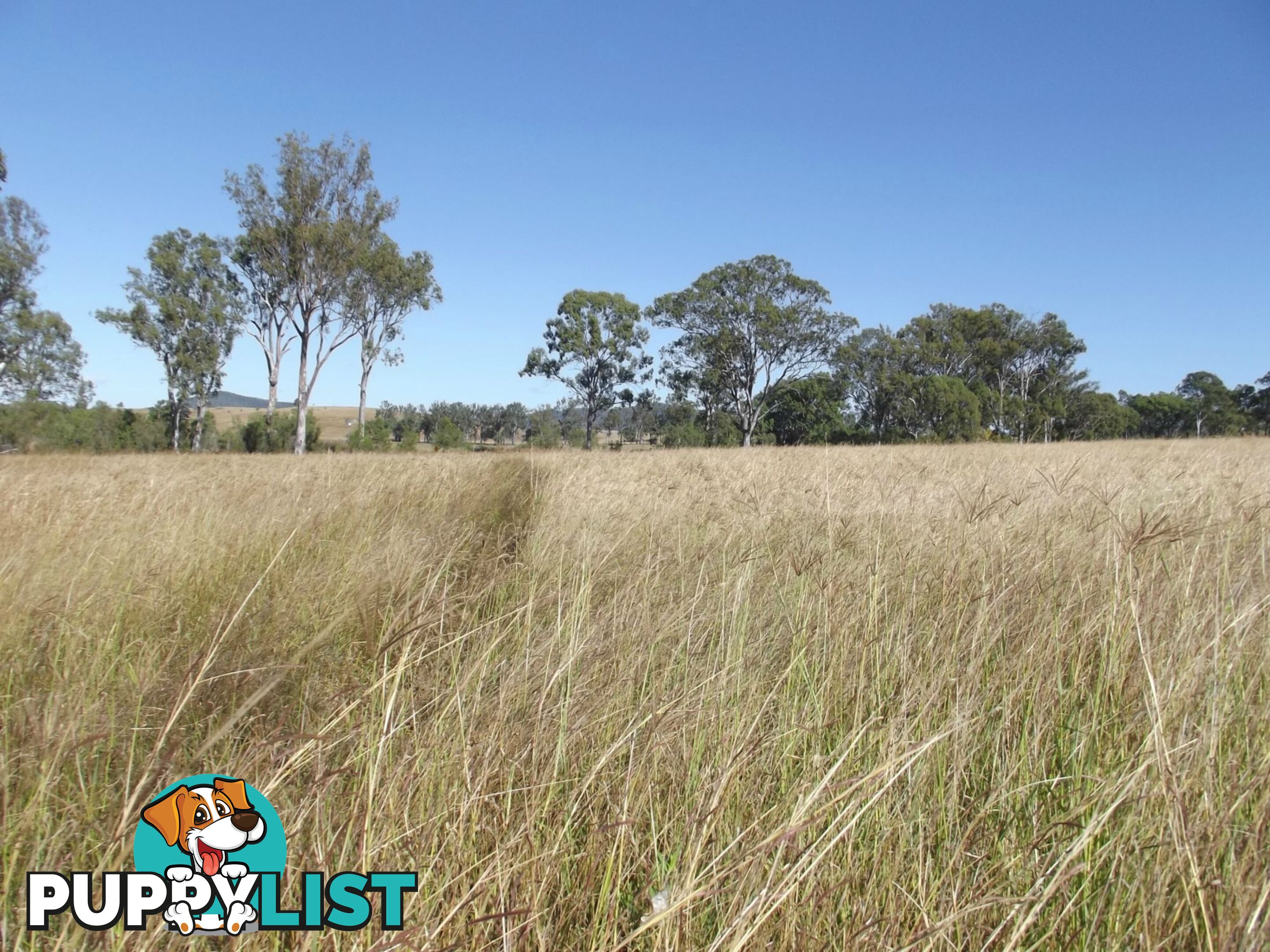 Lot 22 Gooroolba-Biggenden Road Degilbo QLD 4621