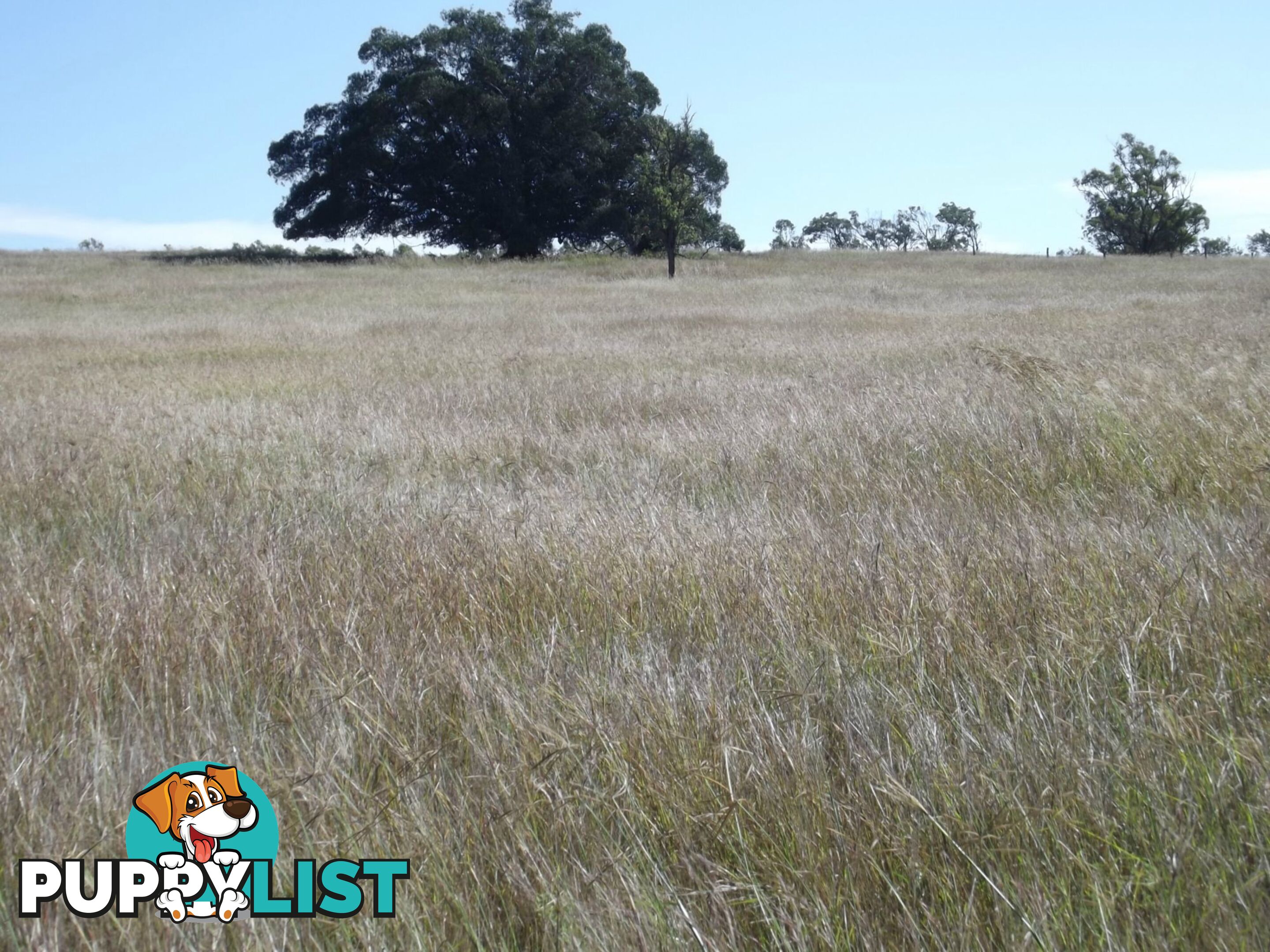 Lot 22 Gooroolba-Biggenden Road Degilbo QLD 4621