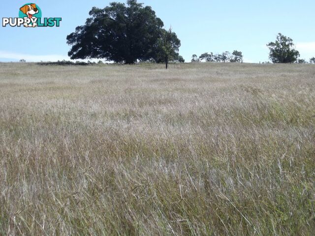 Lot 22 Gooroolba-Biggenden Road Degilbo QLD 4621