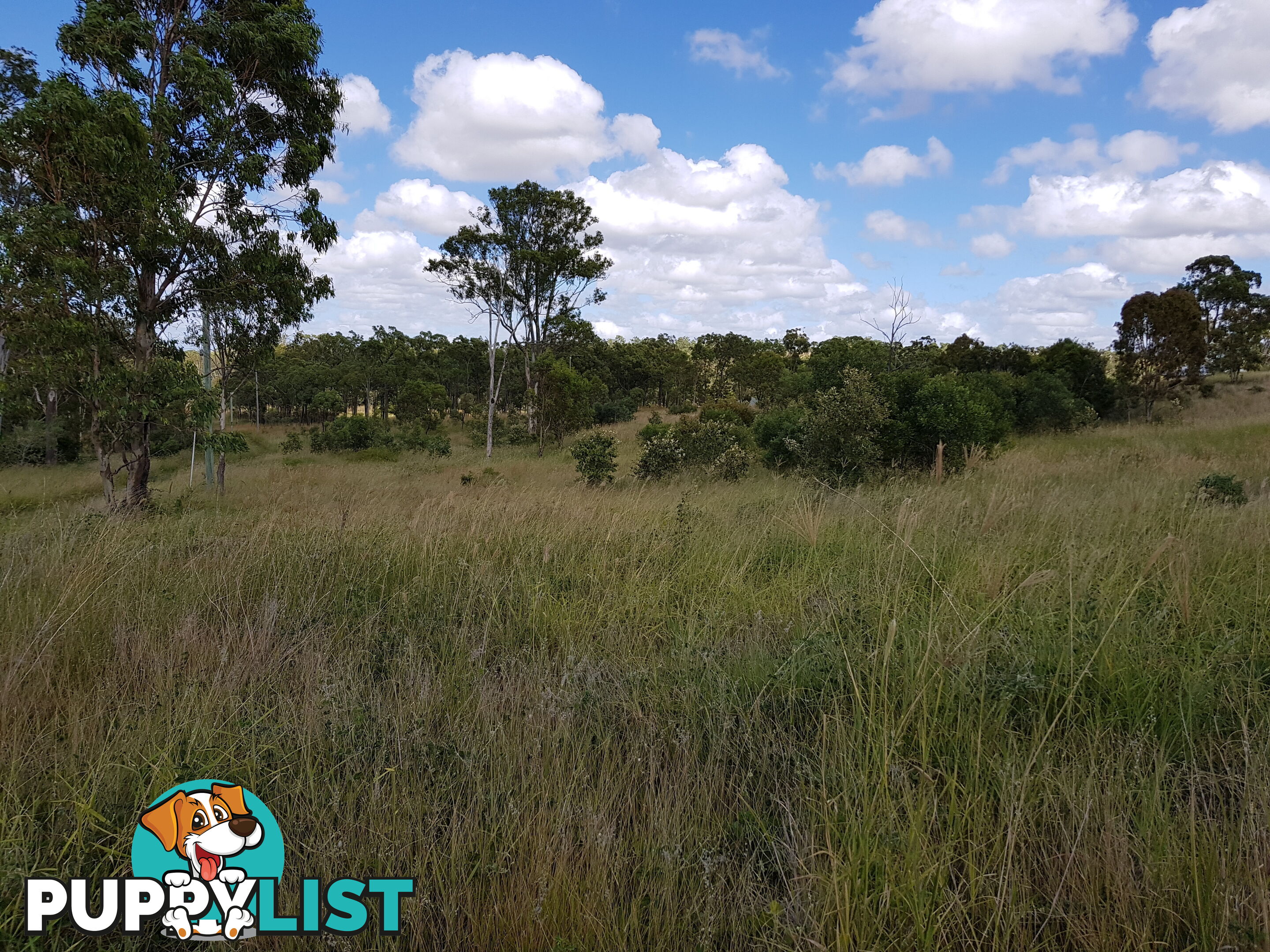 Lots 1,20-21 Queen ST Dallarnil QLD 4621