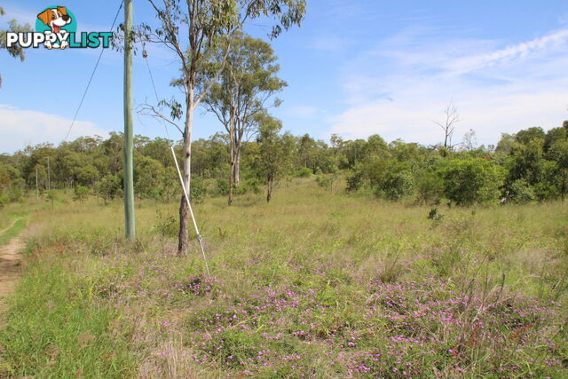 Lots 1,20-21 Queen ST Dallarnil QLD 4621