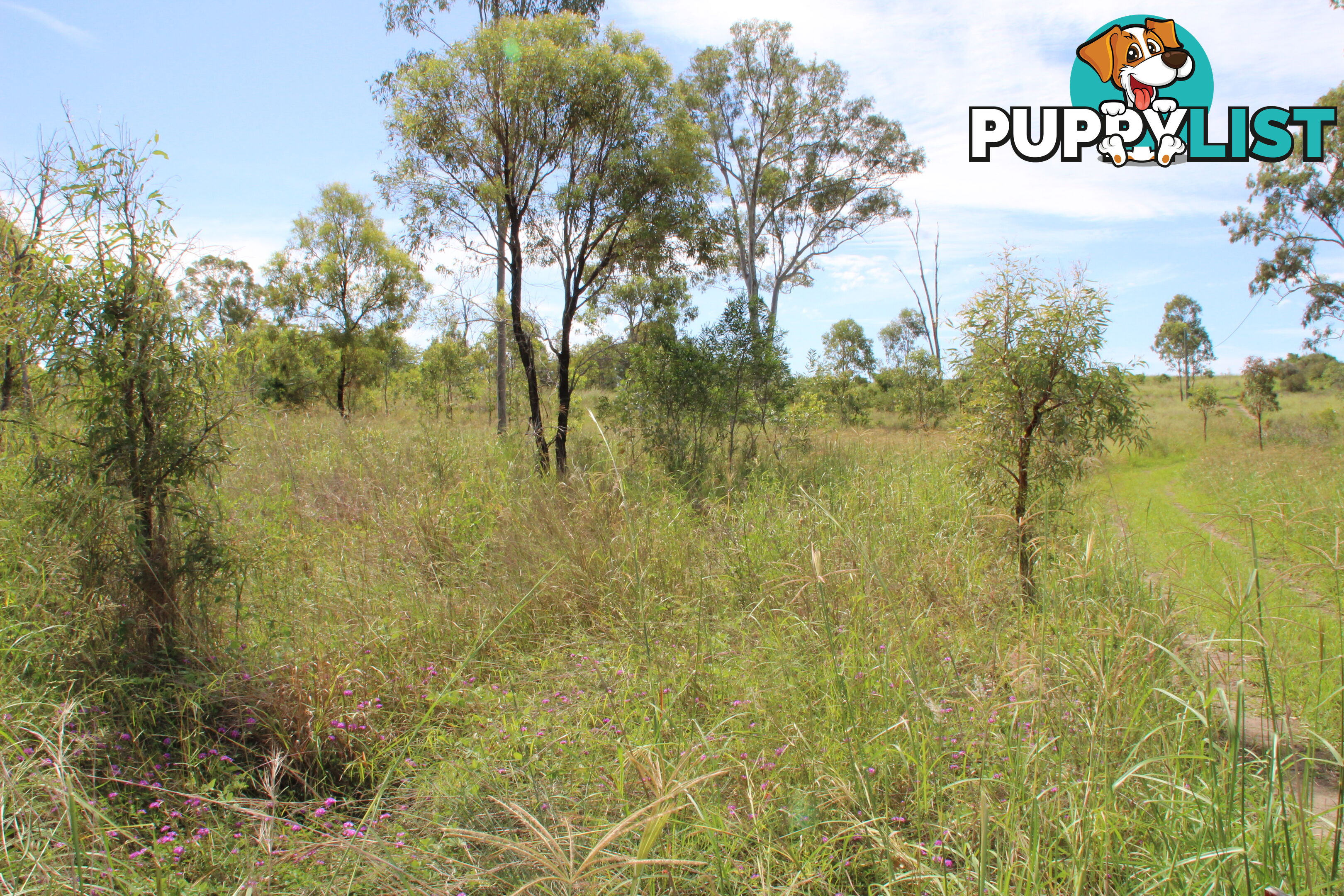 Lots 1,20-21 Queen ST Dallarnil QLD 4621