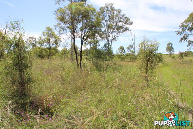 Lots 1,20-21 Queen ST Dallarnil QLD 4621