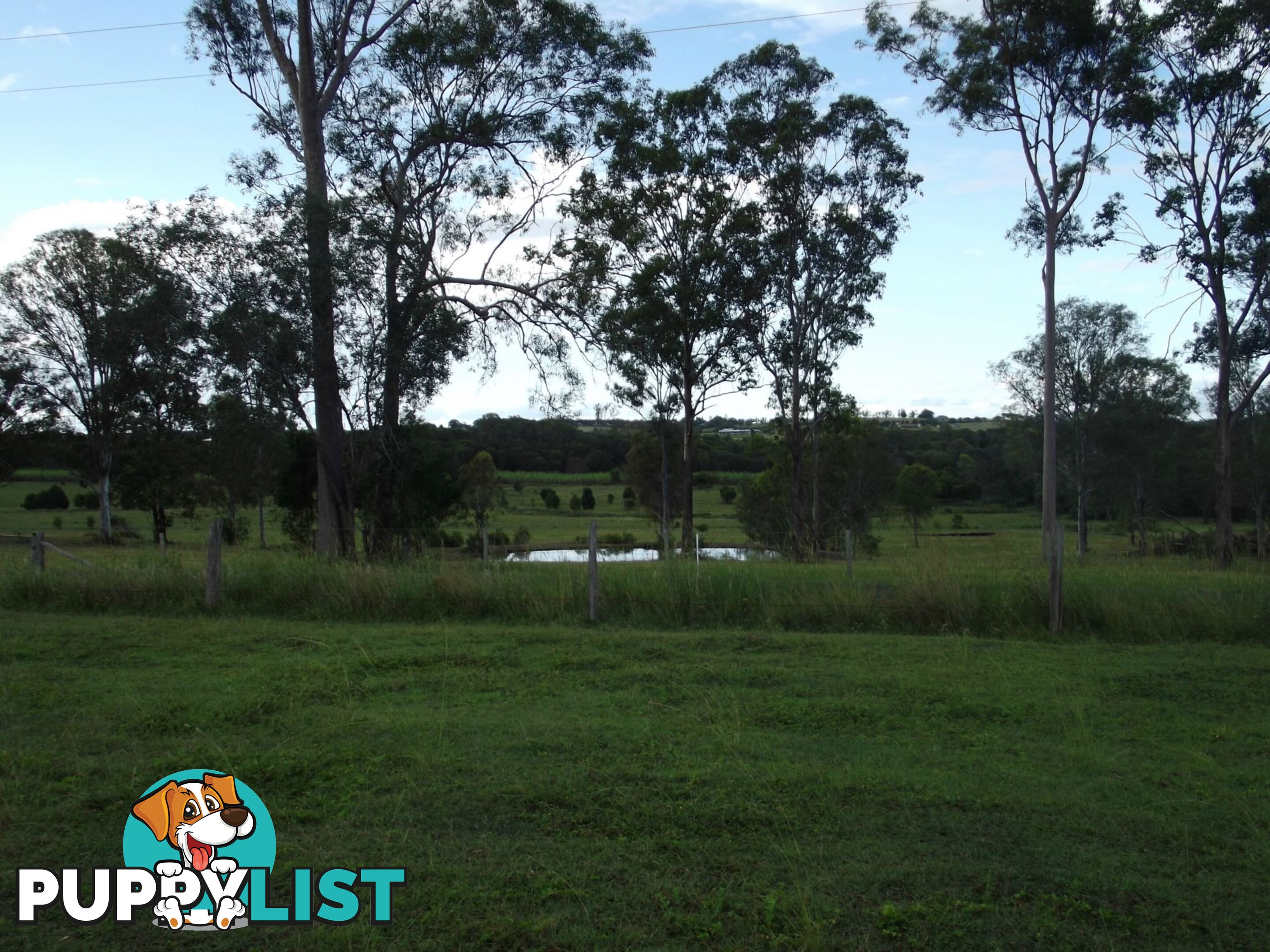 Lot 4 Cooks Road South Isis QLD 4660