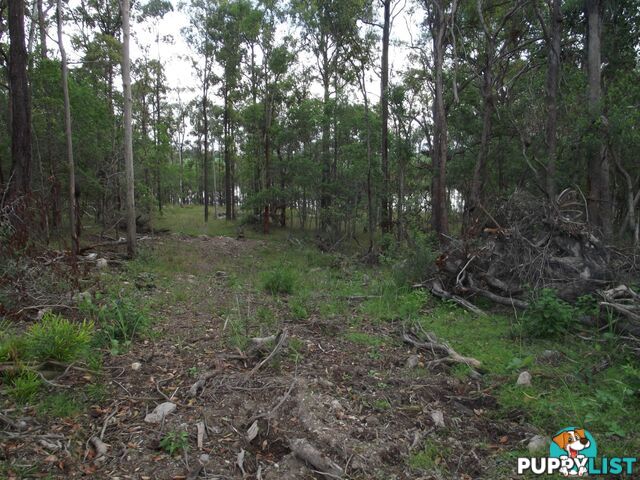 Lot 4 Cooks Road South Isis QLD 4660