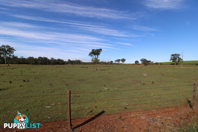 156 Conlons Rd Horton QLD 4660